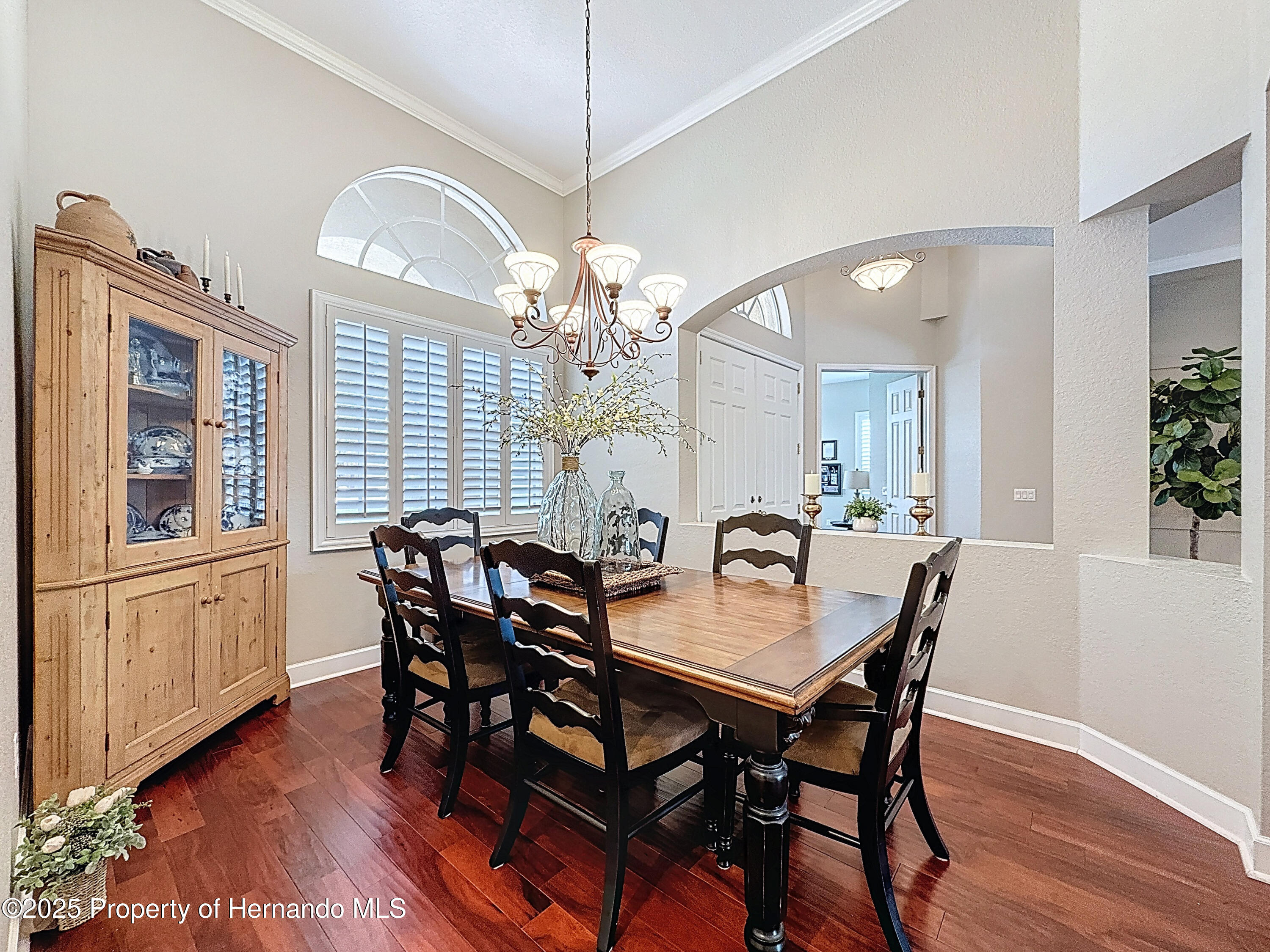 13248 Linzia Lane, Spring Hill, Florida image 14