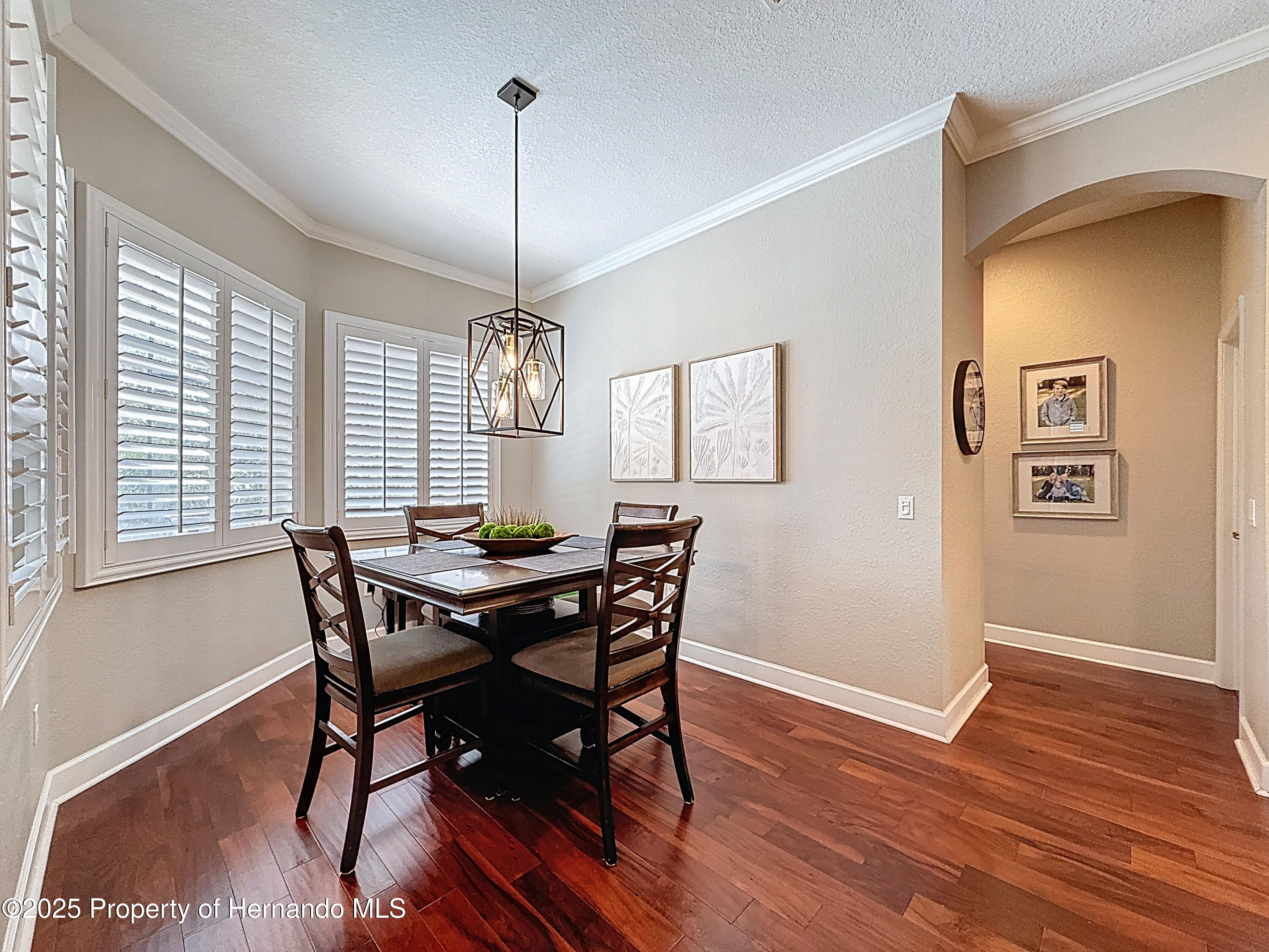 13248 Linzia Lane, Spring Hill, Florida image 25