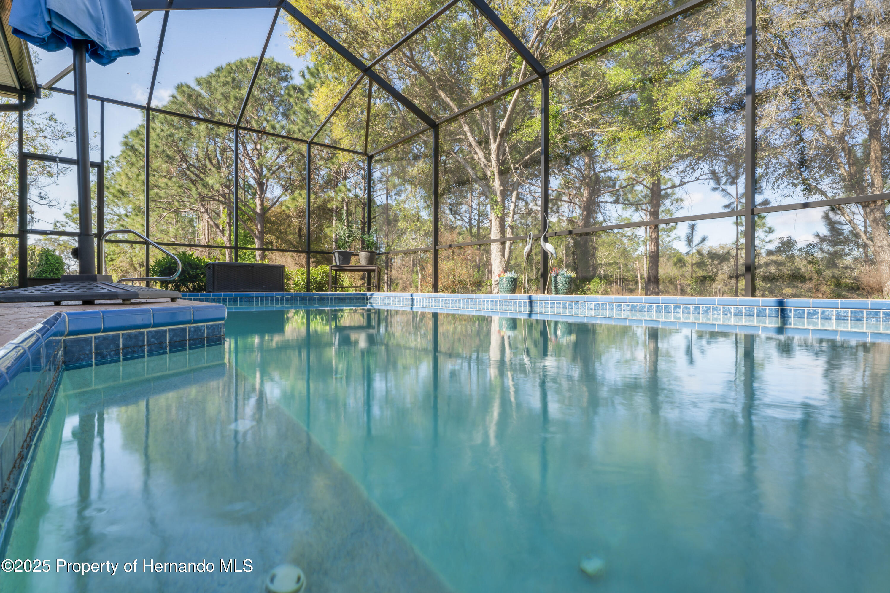 10105 Holly Berry Drive, Weeki Wachee, Florida image 47