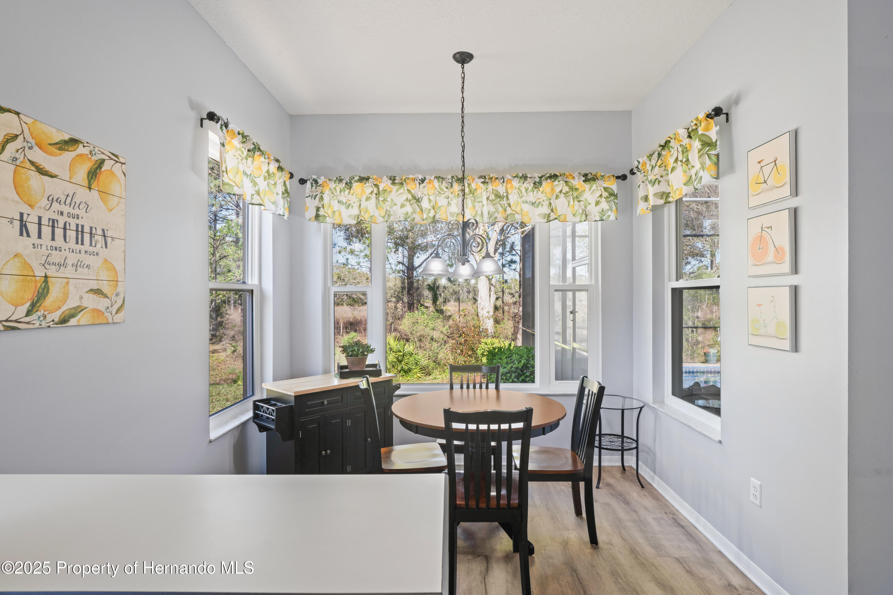 10105 Holly Berry Drive, Weeki Wachee, Florida image 18