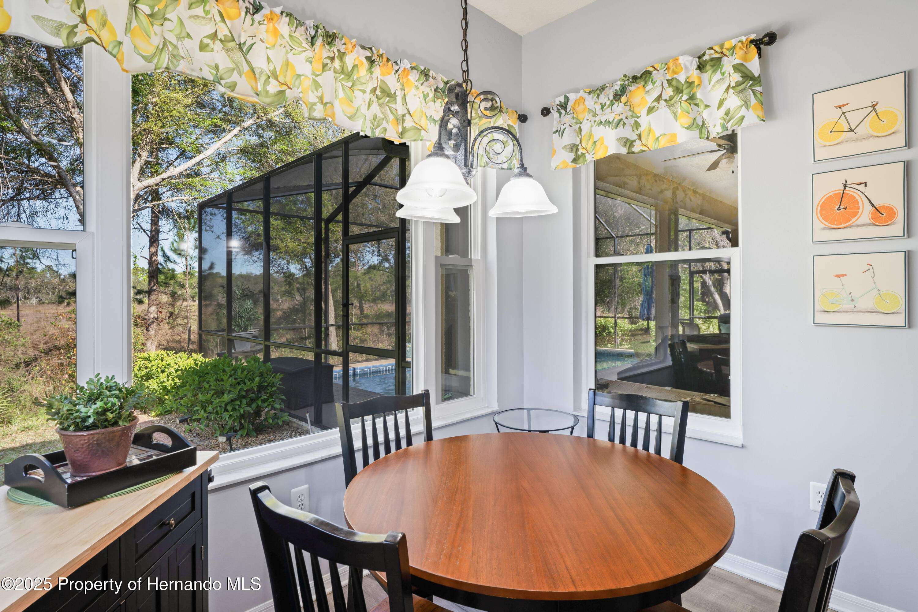 10105 Holly Berry Drive, Weeki Wachee, Florida image 19