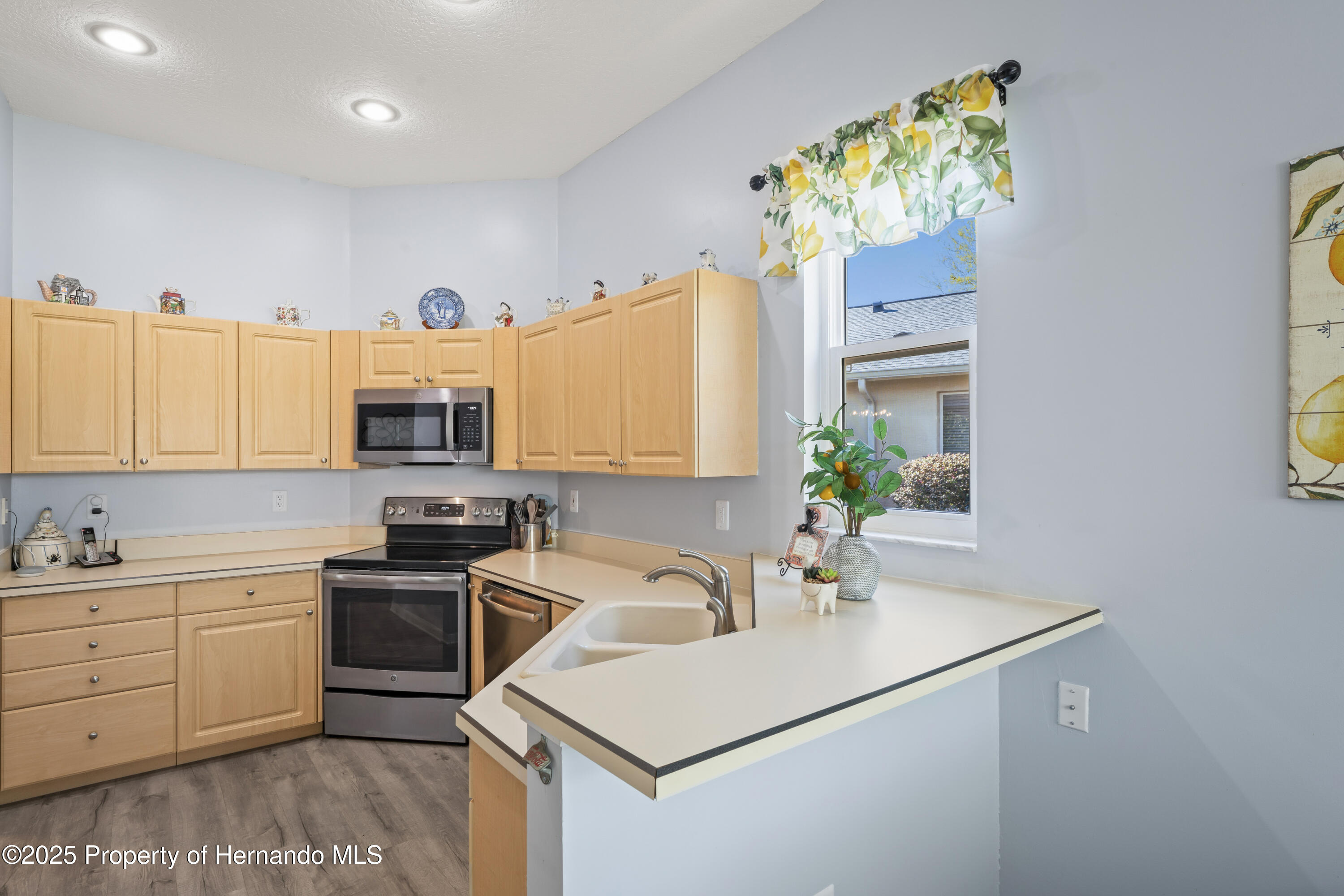 10105 Holly Berry Drive, Weeki Wachee, Florida image 13