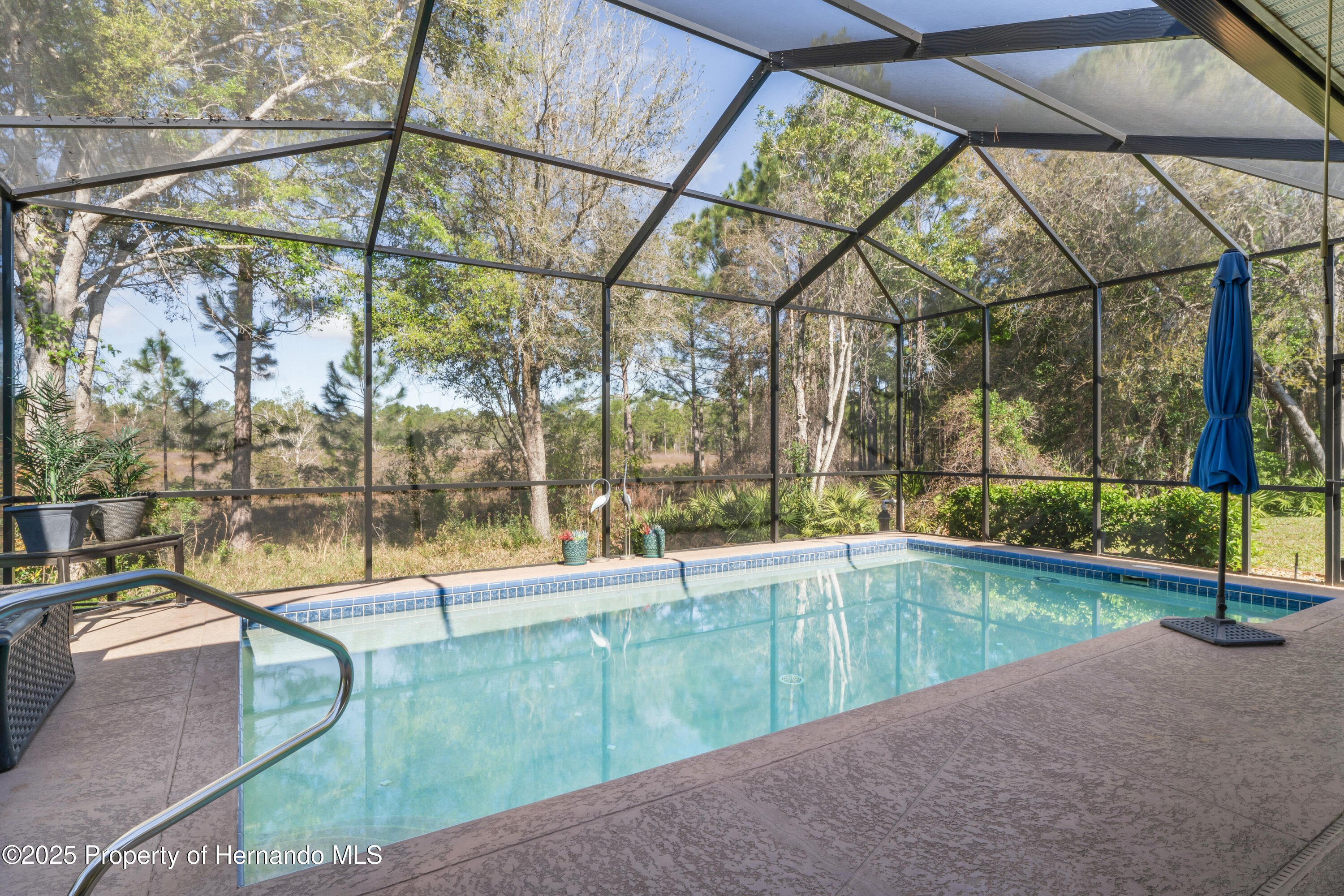 10105 Holly Berry Drive, Weeki Wachee, Florida image 46