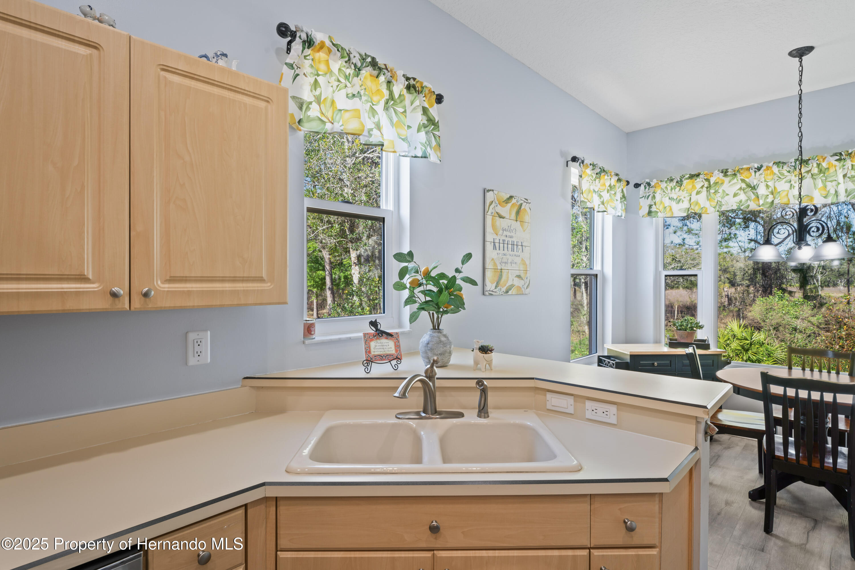 10105 Holly Berry Drive, Weeki Wachee, Florida image 15