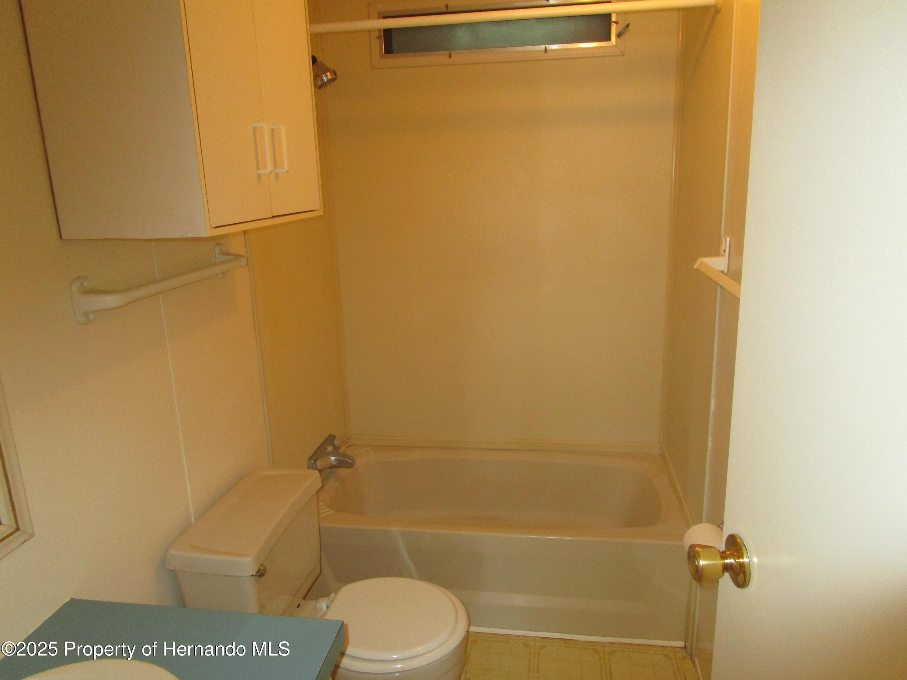 15122 Brookridge Boulevard, Brooksville, Florida image 15