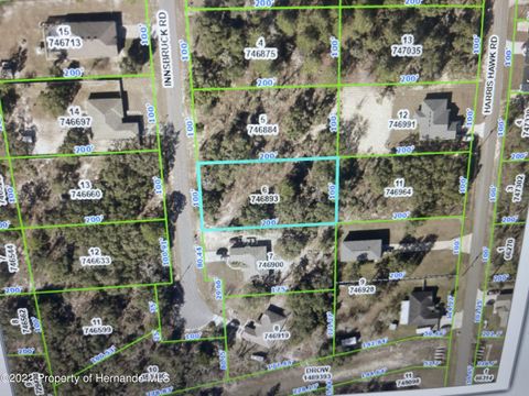 Vacant Land For Sale - Innsbruck Road<br/> Weeki Wachee, FL 34614