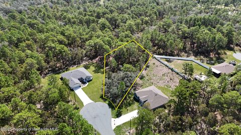 Vacant Land For Sale - 11344 Megargel Court<br/> Weeki Wachee, FL 34614