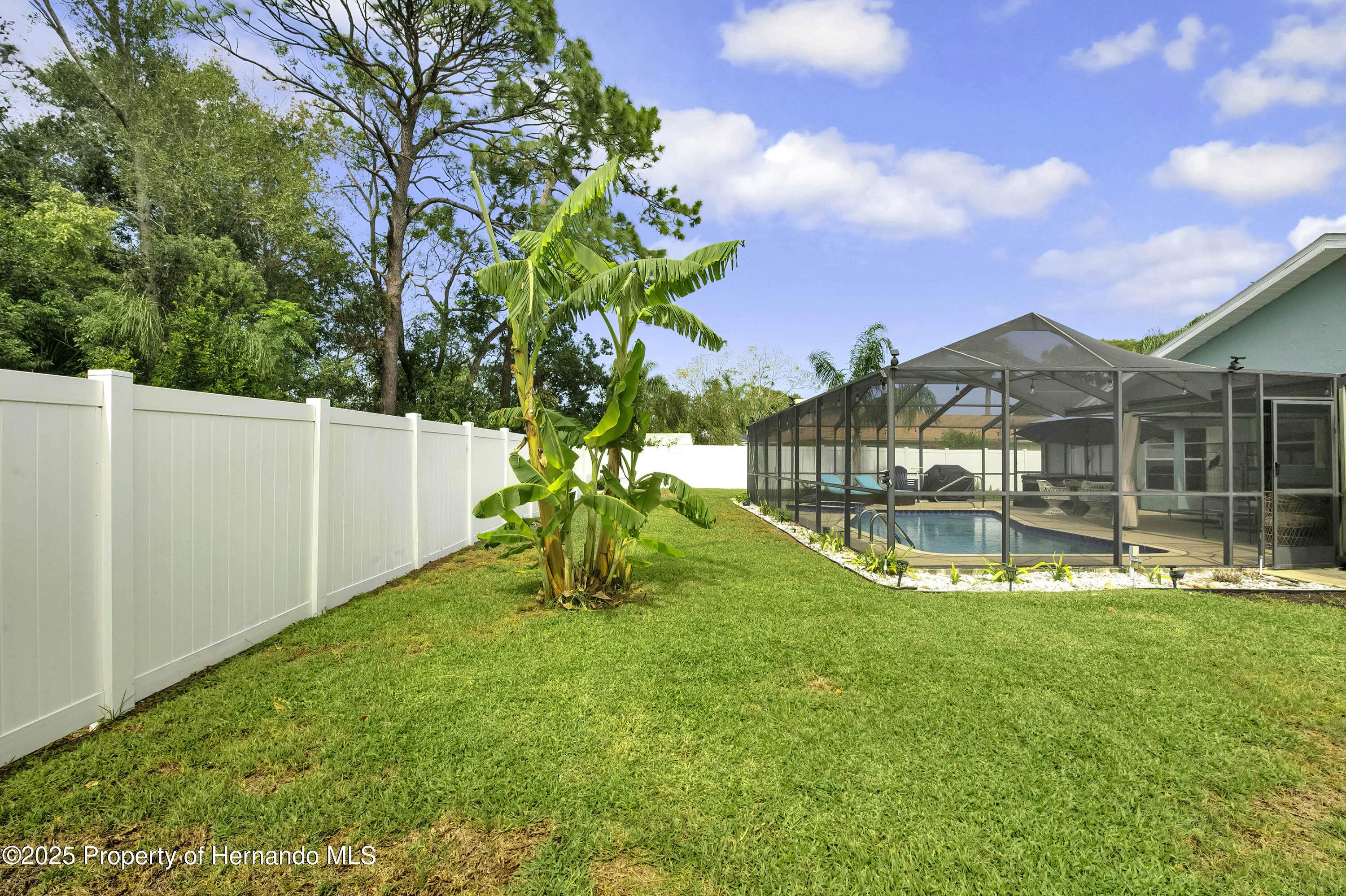 2089 Cottondale Avenue, Spring Hill, Florida image 9