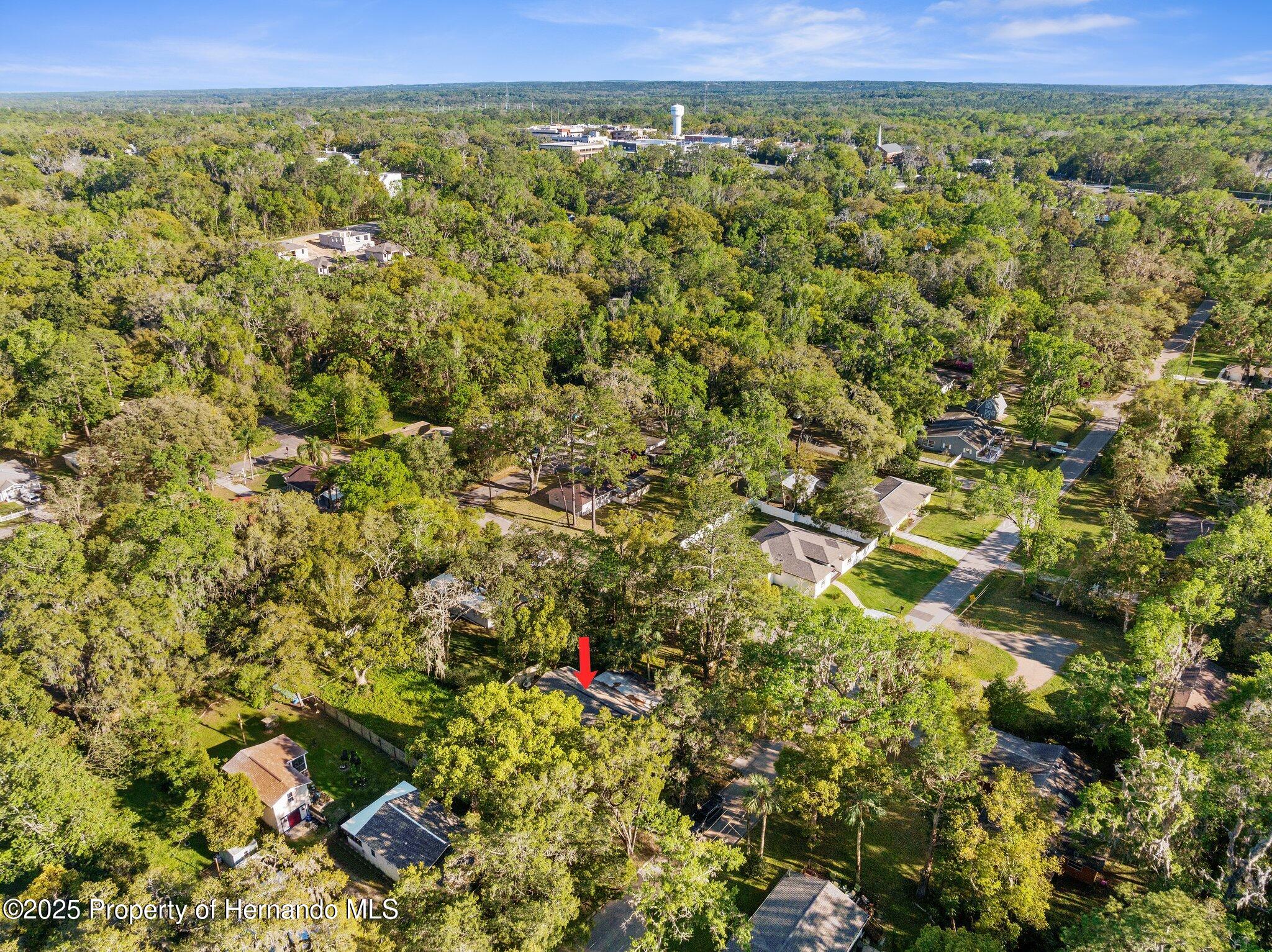 406 Zoller Street, Brooksville, Florida image 3