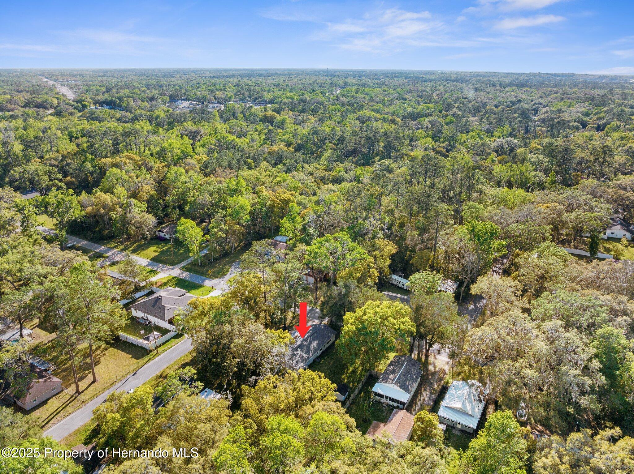 406 Zoller Street, Brooksville, Florida image 4