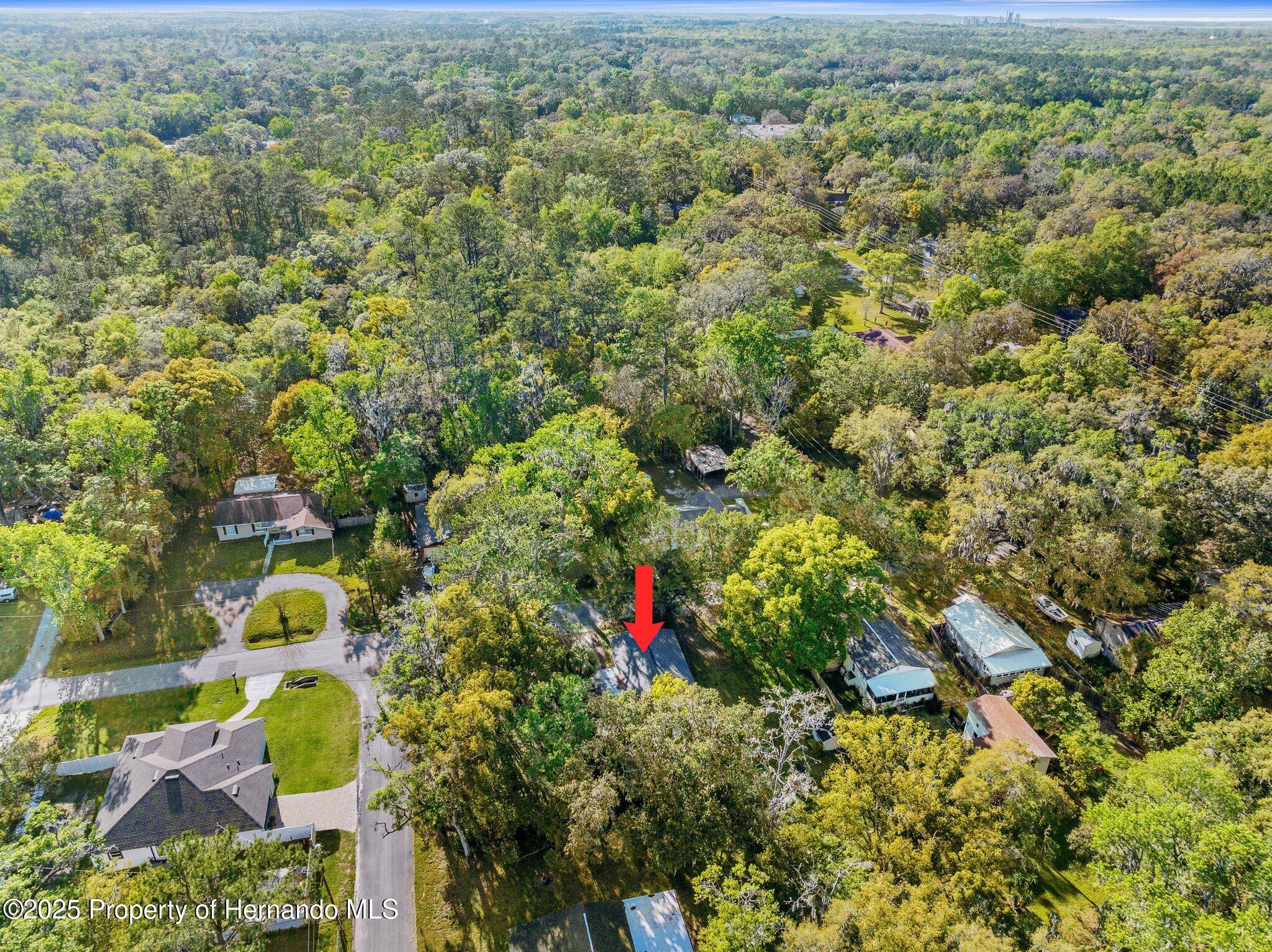 406 Zoller Street, Brooksville, Florida image 5