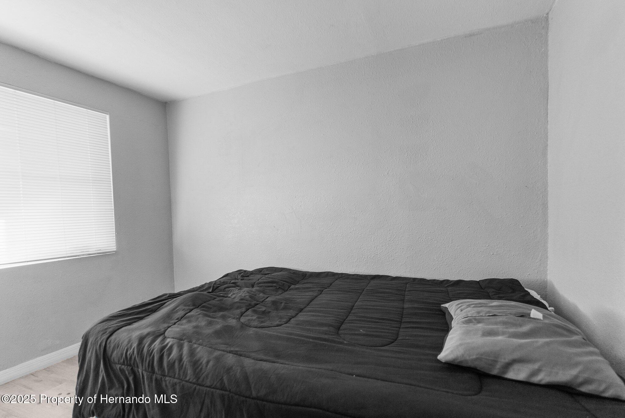 406 Zoller Street, Brooksville, Florida image 14