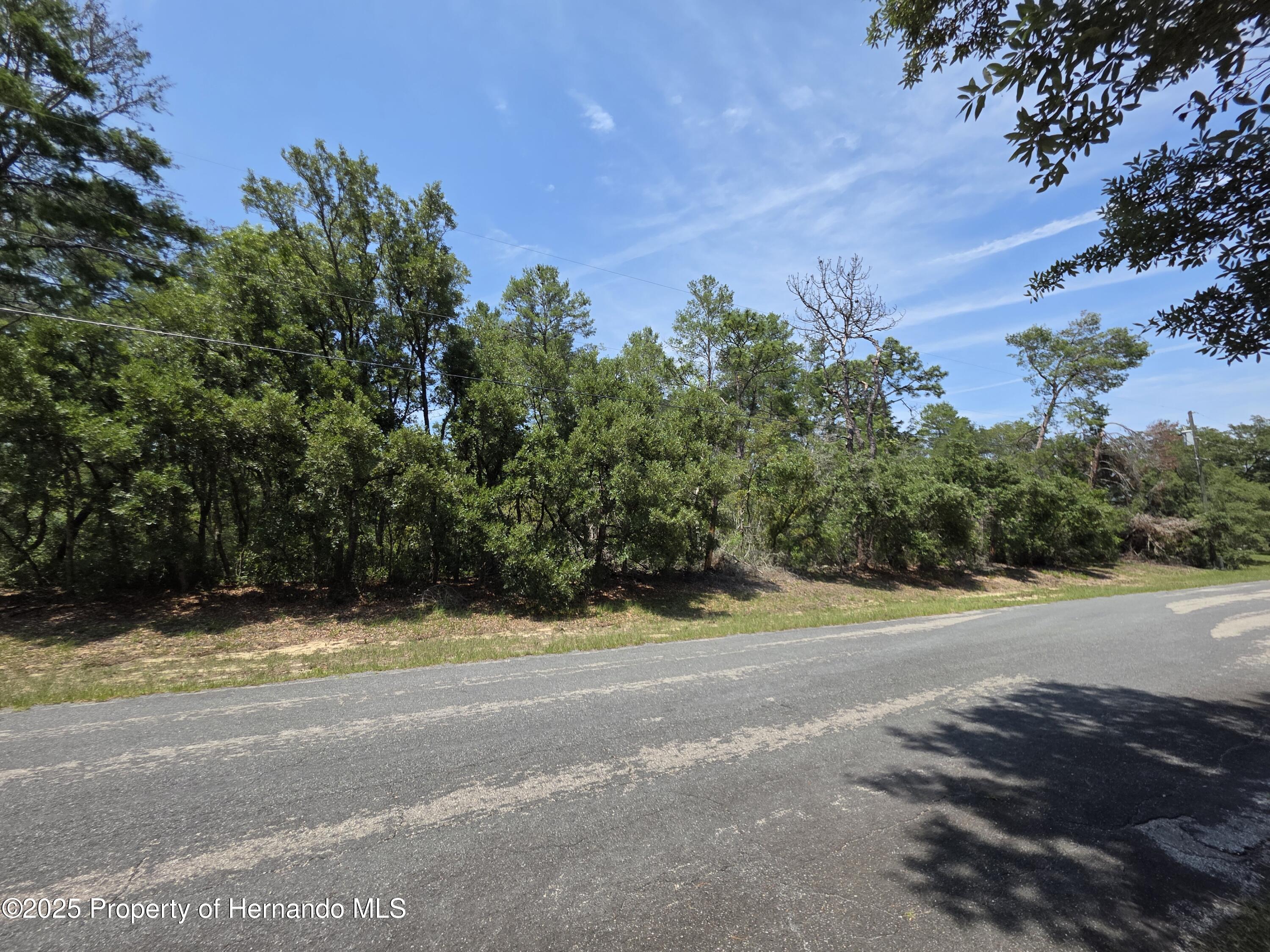 4653 W Maverick Court, Beverly Hills, Florida image 4