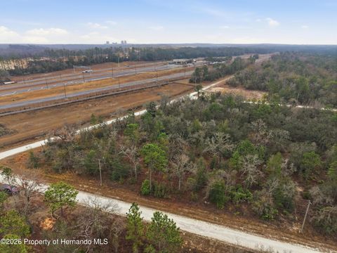 Vacant Land For Sale - Cagarro Road<br/> Weeki Wachee, FL 34614