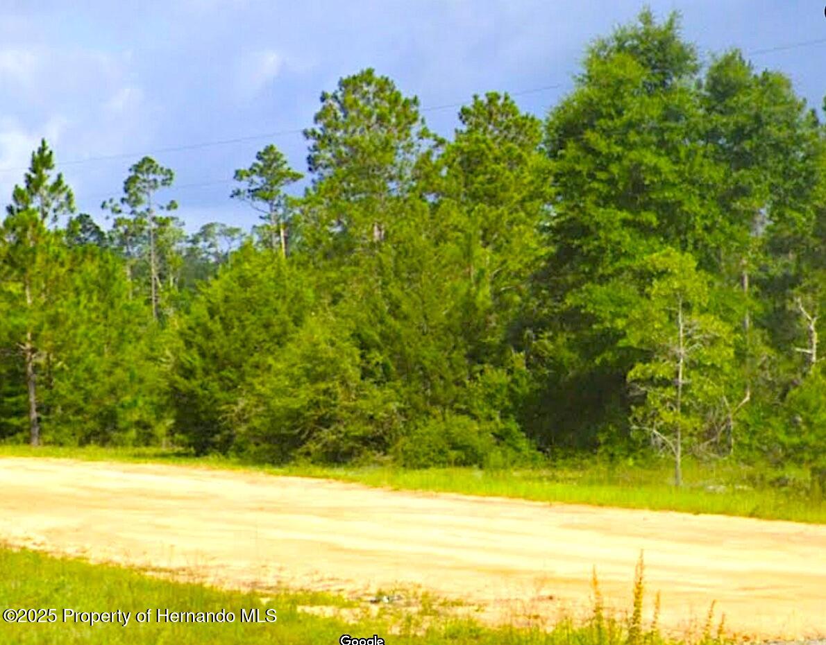 Cleveland Drive, Alford, Florida image 1