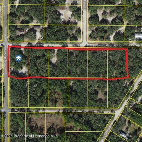 Vacant Land For Sale - Wheystone Drive<br/> Ridge Manor, FL 33597