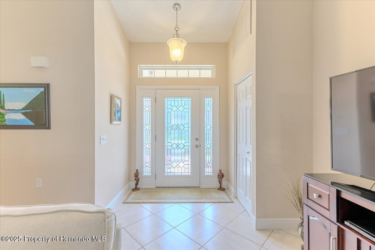 3085 Appleblossom Trail, Spring Hill, Florida image 9