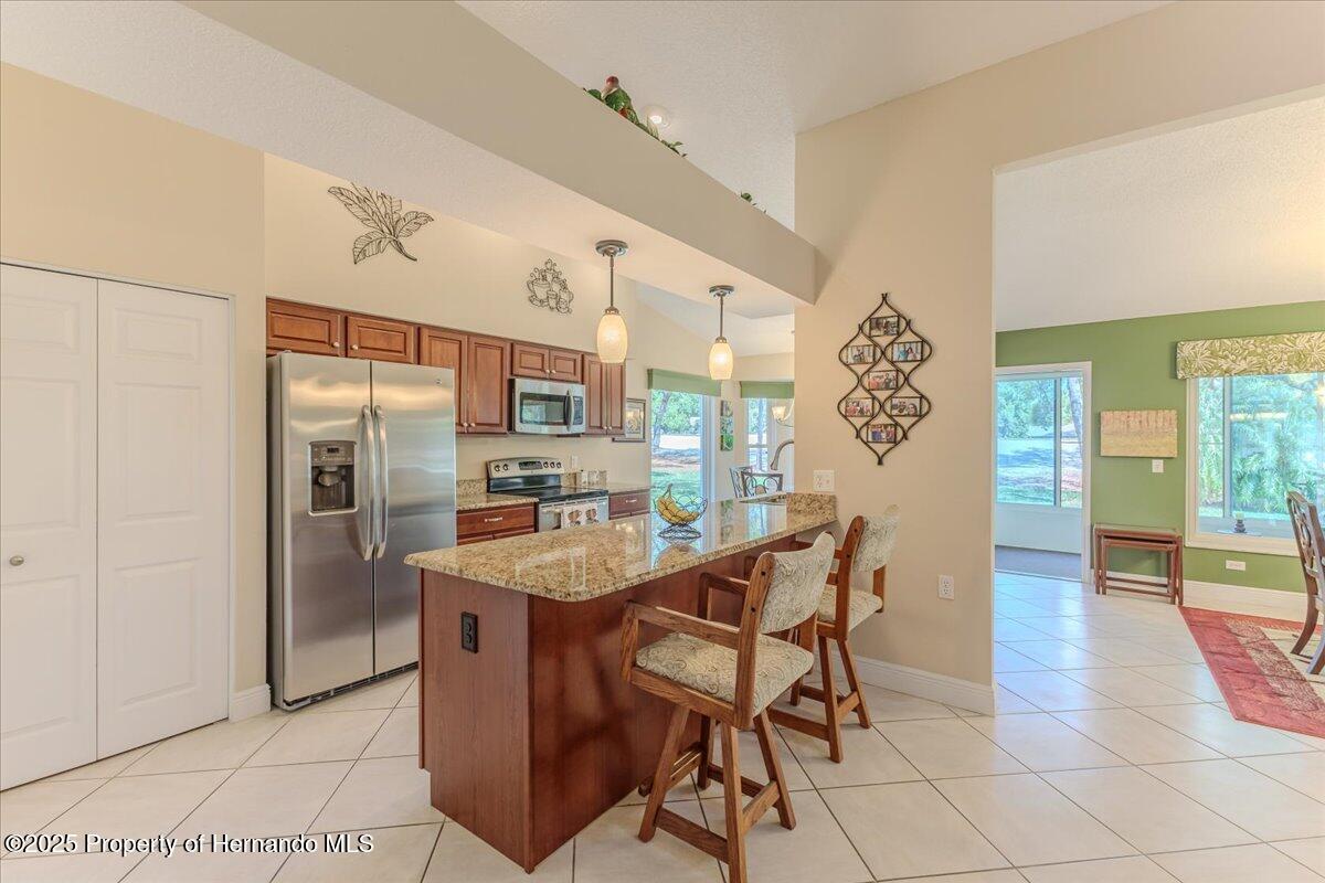 3085 Appleblossom Trail, Spring Hill, Florida image 22