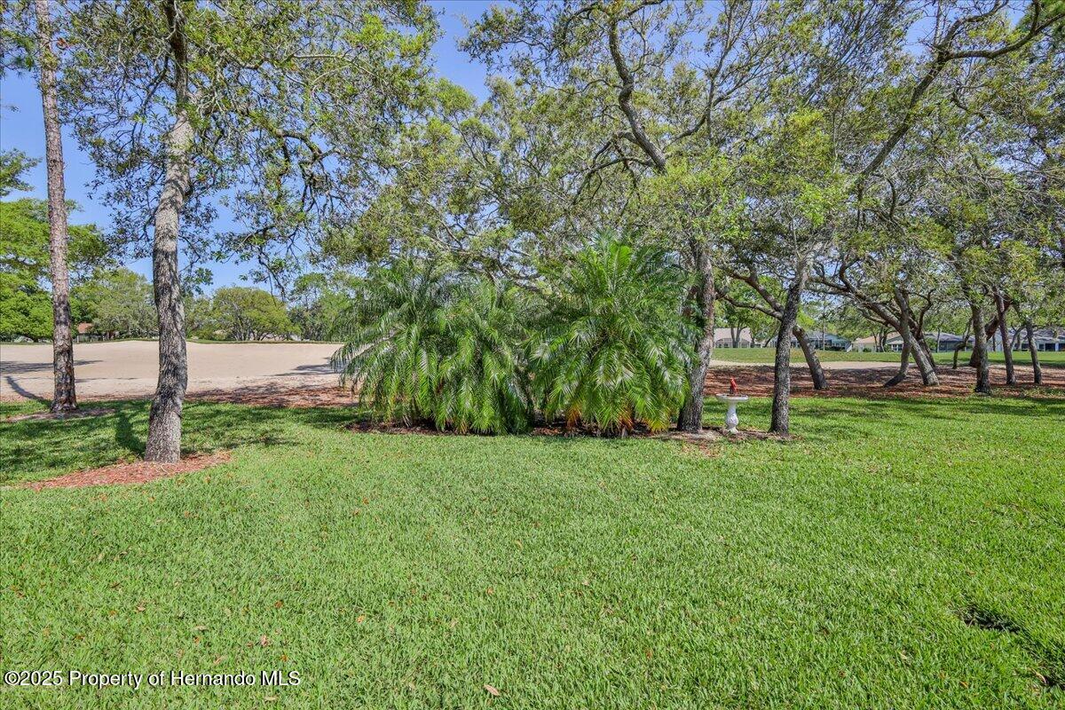 3085 Appleblossom Trail, Spring Hill, Florida image 32