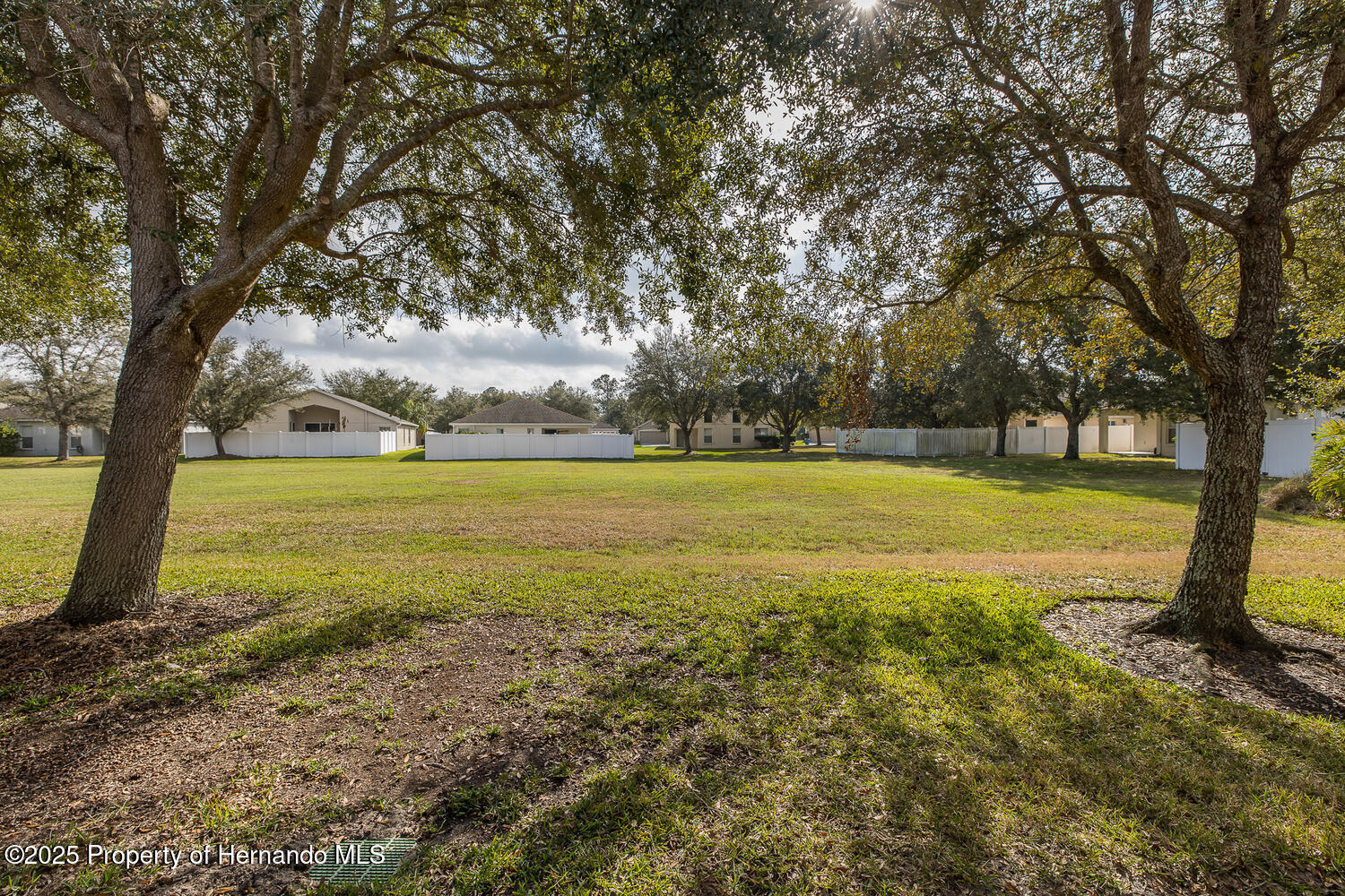 4412 Caliquen Drive, Brooksville, Florida image 49