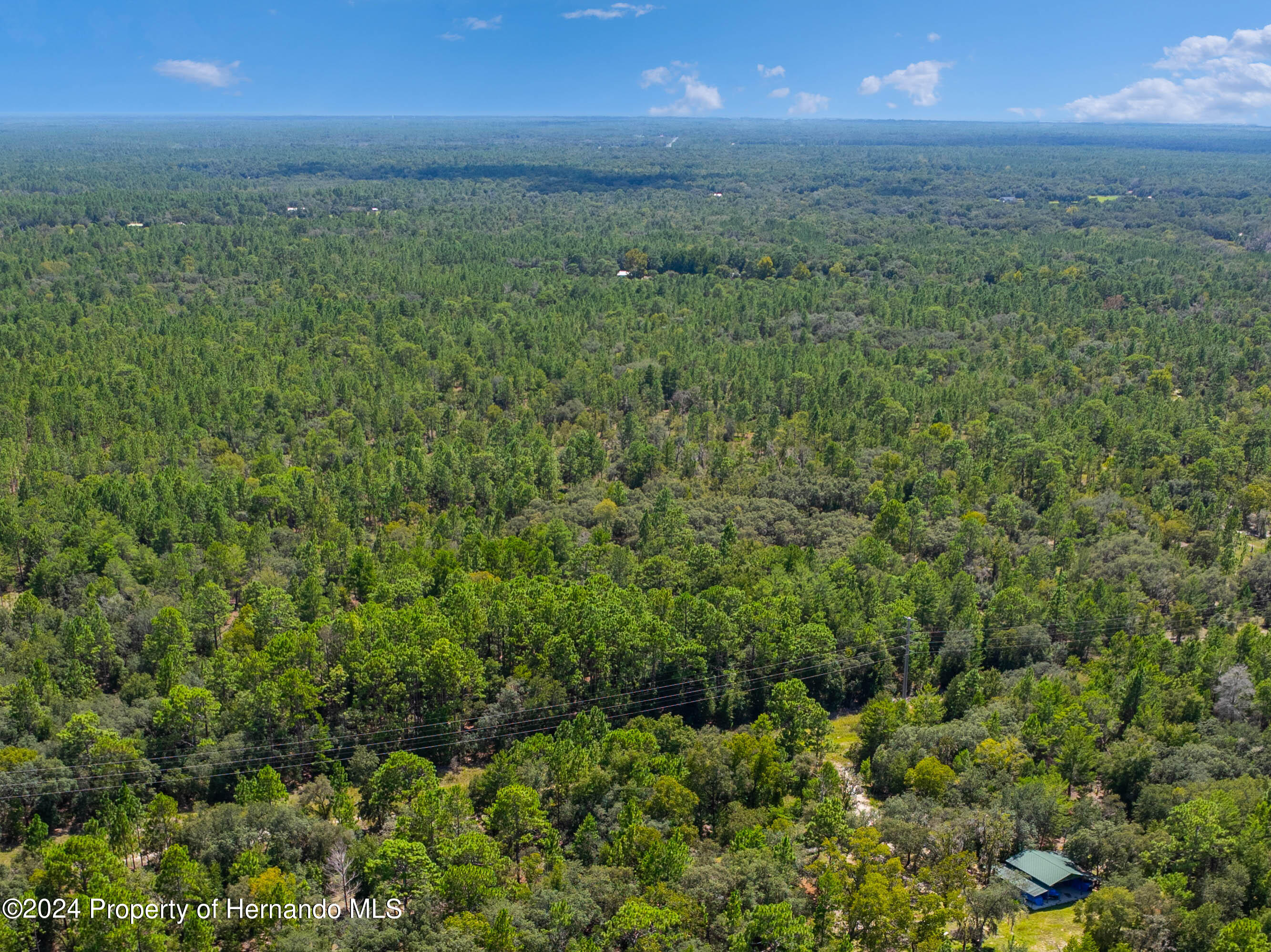 10534 Alice Terrace, Dunnellon, Florida image 11