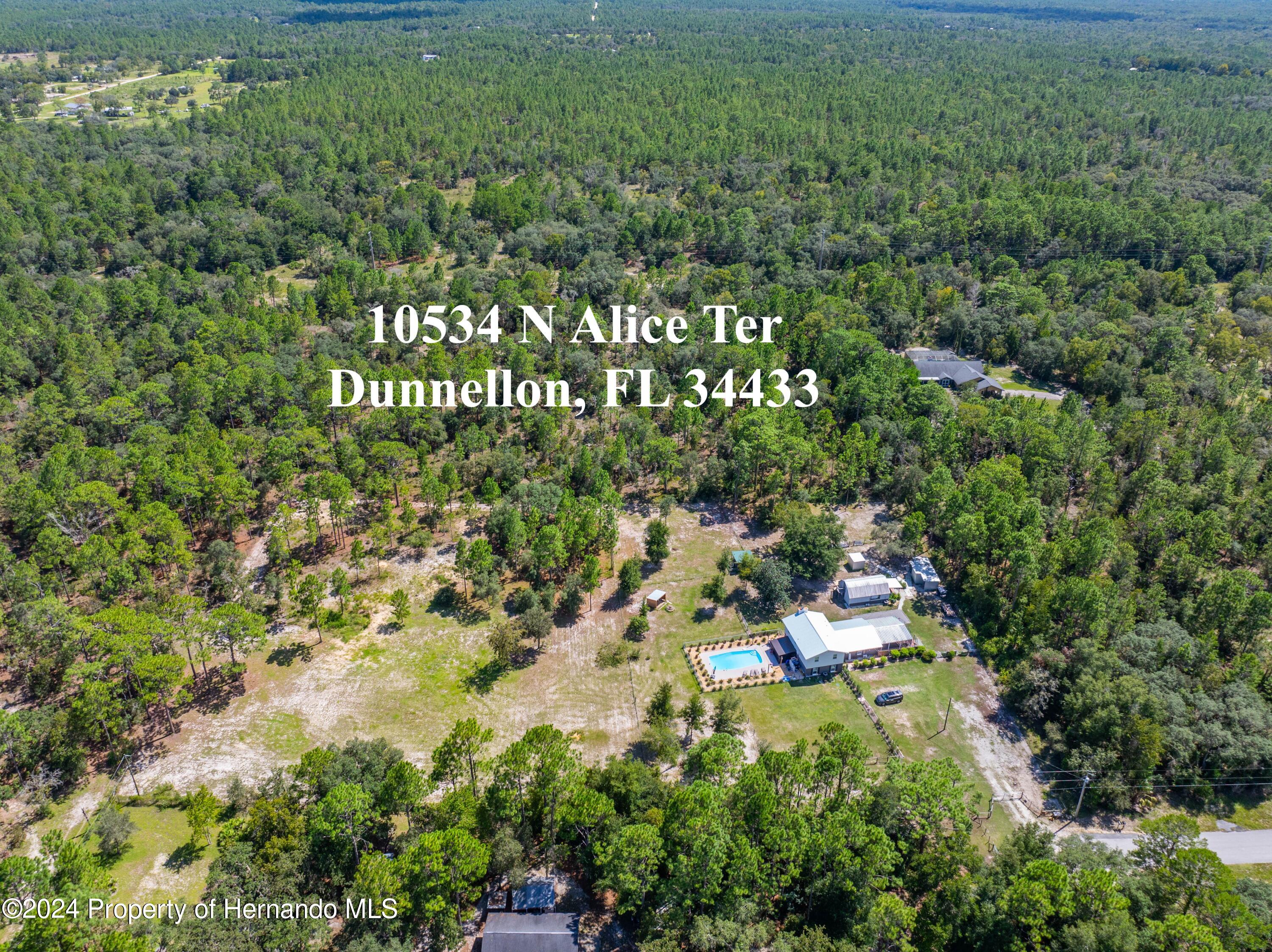 10534 Alice Terrace, Dunnellon, Florida image 9