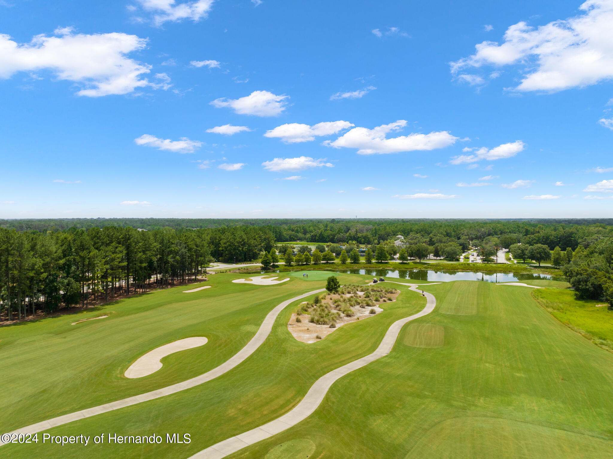 5252 Ravensbrook Court, Brooksville, Florida image 10