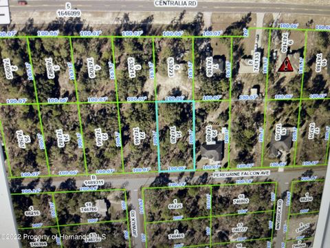 Vacant Land For Sale - Peregrine Falcon Avenue<br/> Weeki Wachee, FL 34614