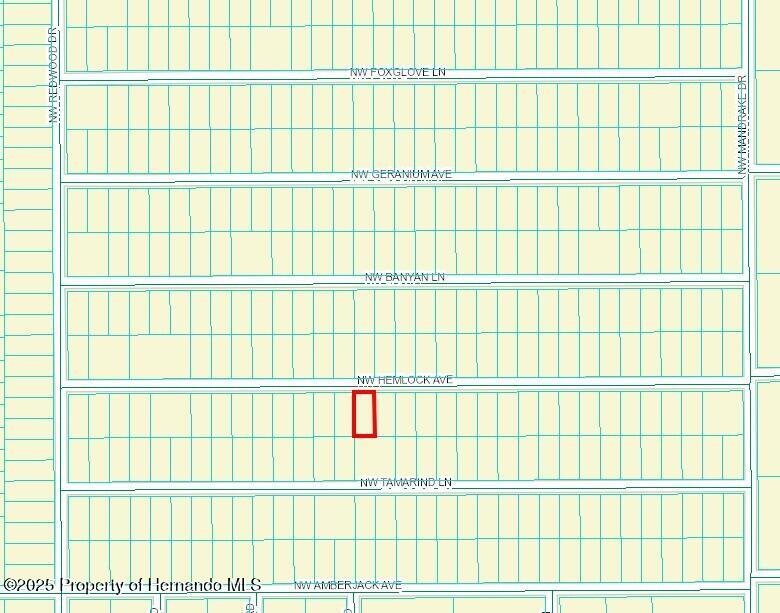 452467 Nw Hemlock Avenue, Dunnellon, Florida image 2