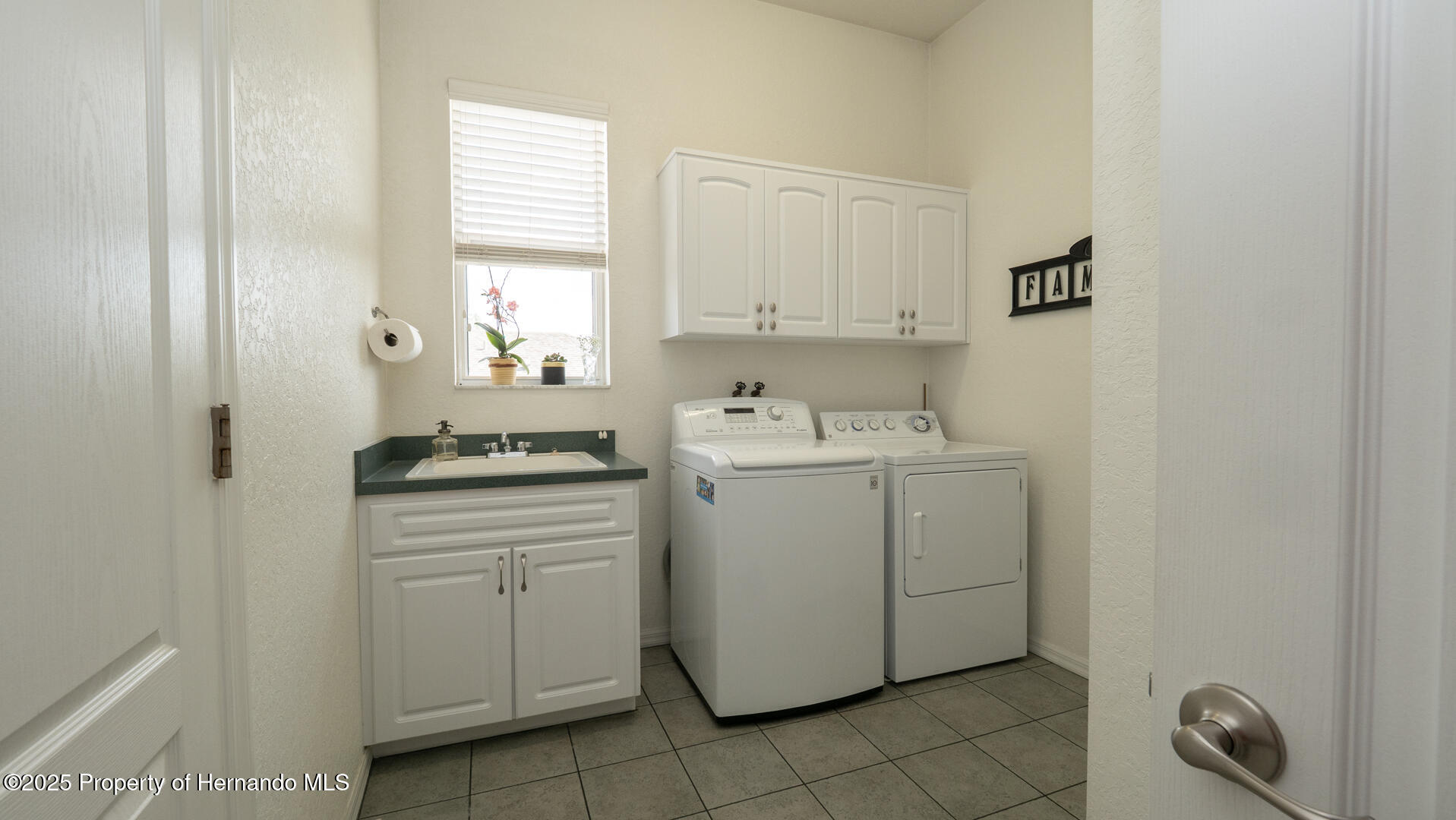 3102 Lema Drive, Spring Hill, Florida image 11