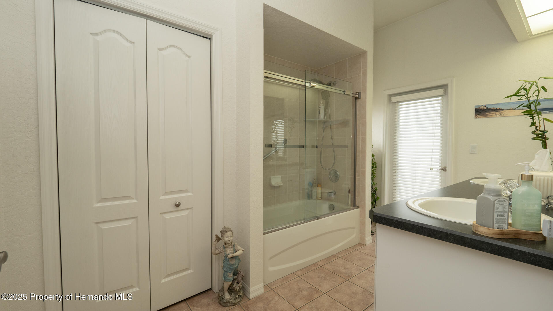 3102 Lema Drive, Spring Hill, Florida image 16