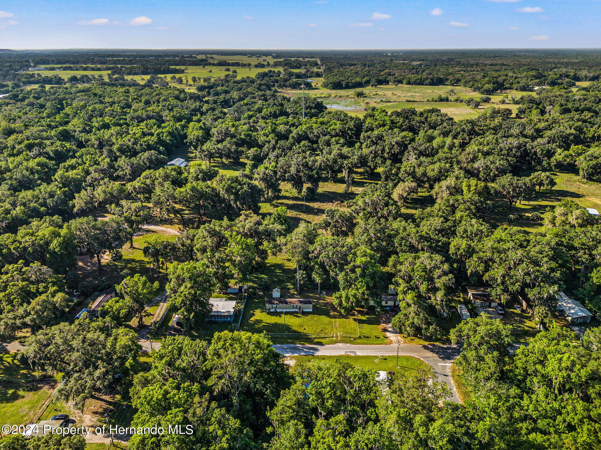 1940 Cr 428, Lake Panasoffkee, Florida image 19