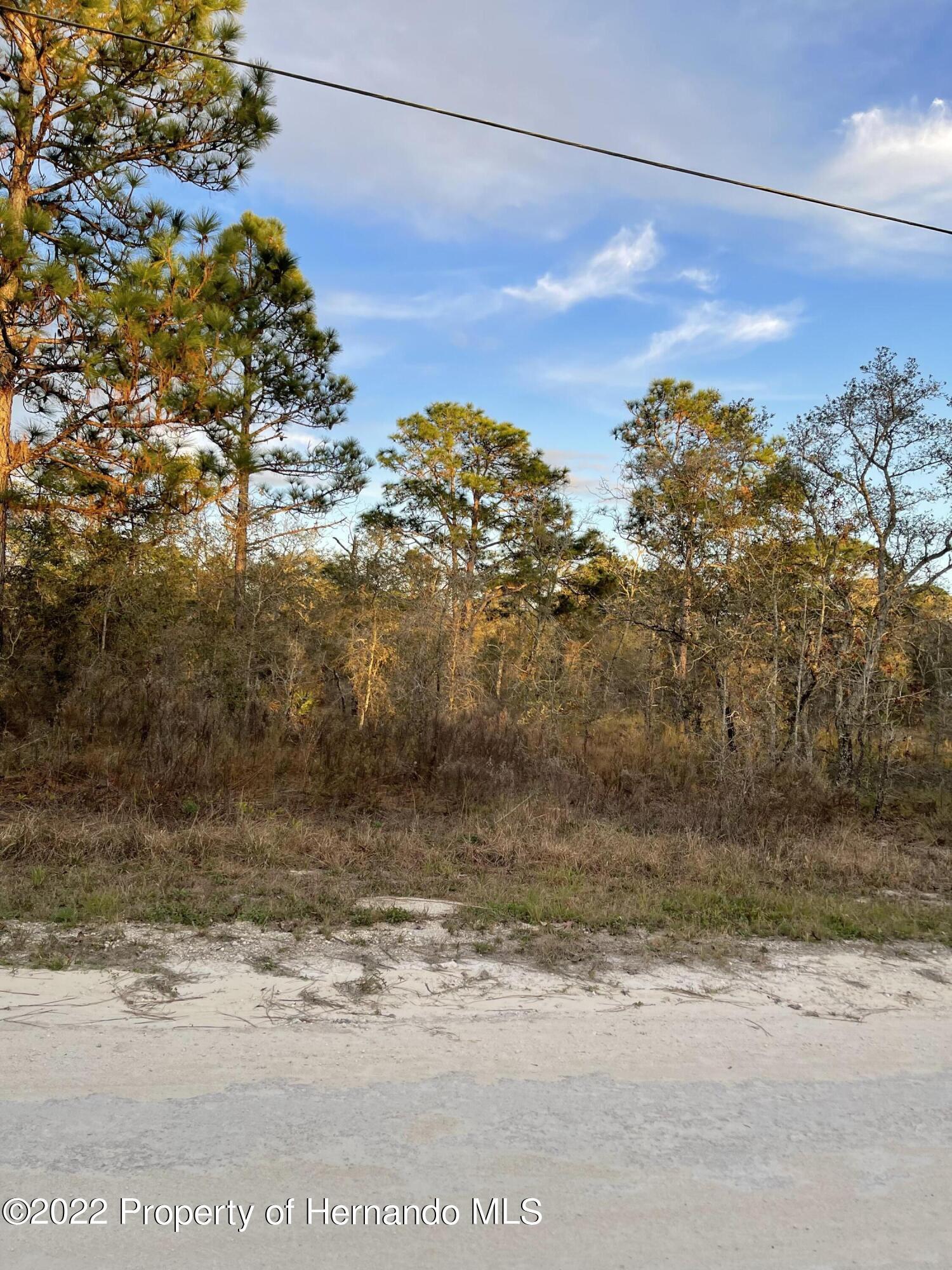 Everglades Kite Road, Weeki Wachee, Florida image 1