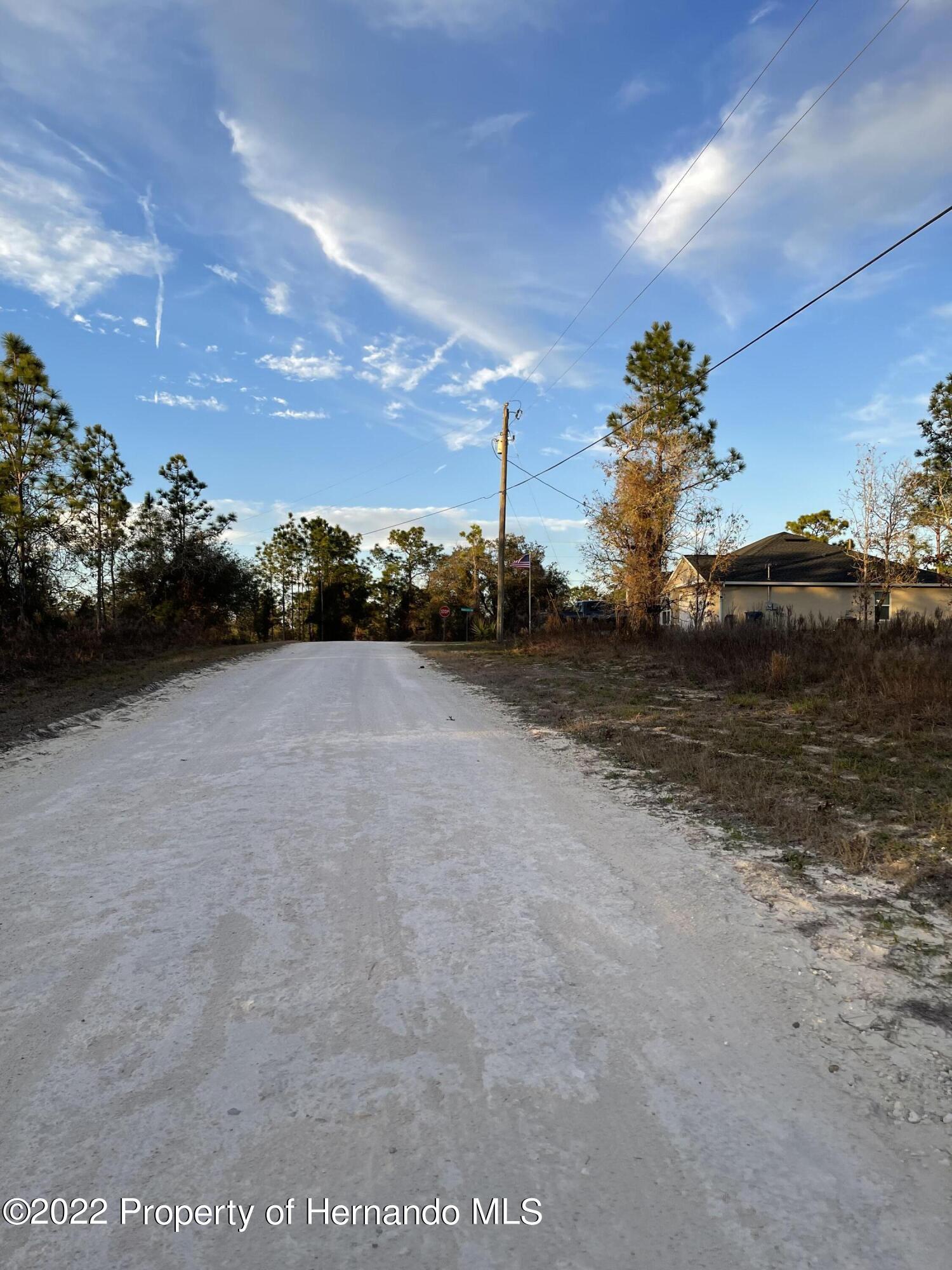 Everglades Kite Road, Weeki Wachee, Florida image 2