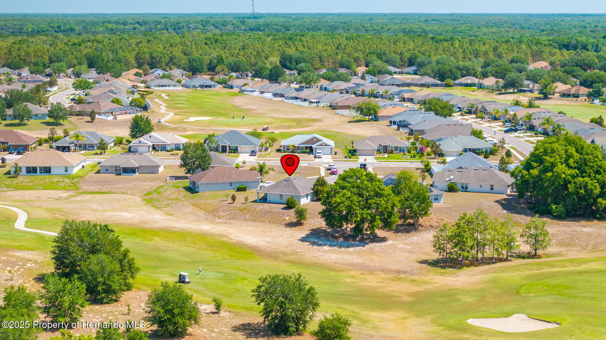 7061 Lamium Court, Brooksville, Florida image 33