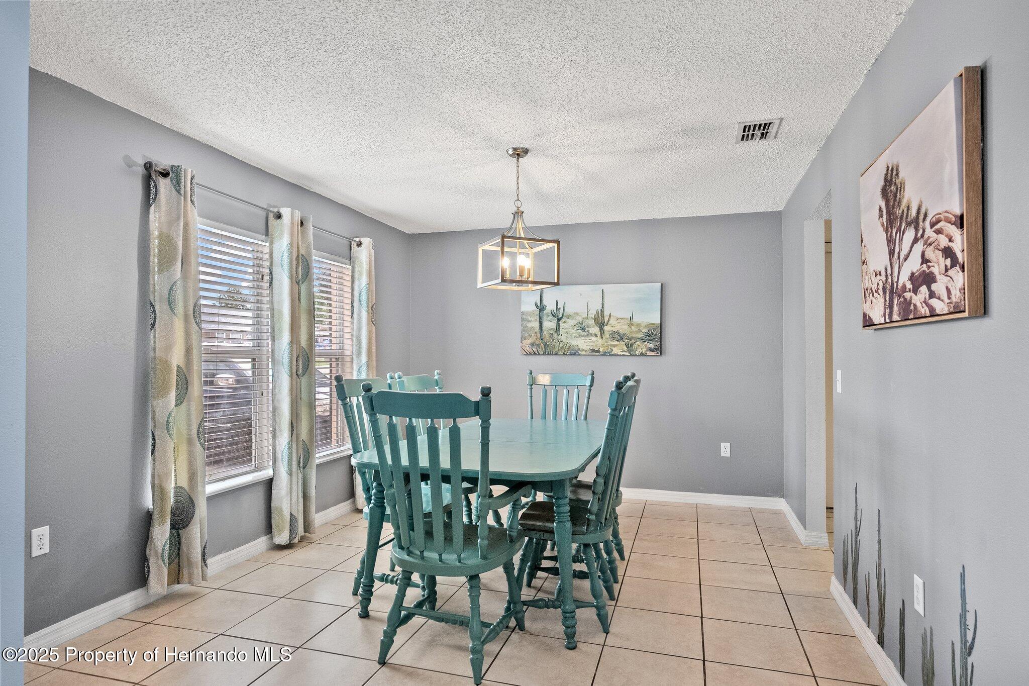 11041 Claymore Street, Spring Hill, Florida image 9