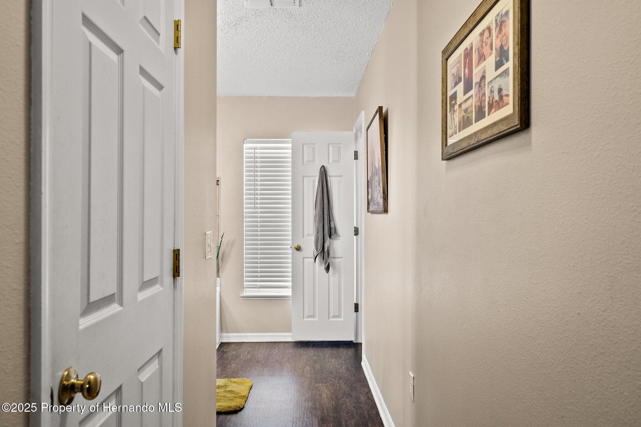 11041 Claymore Street, Spring Hill, Florida image 48