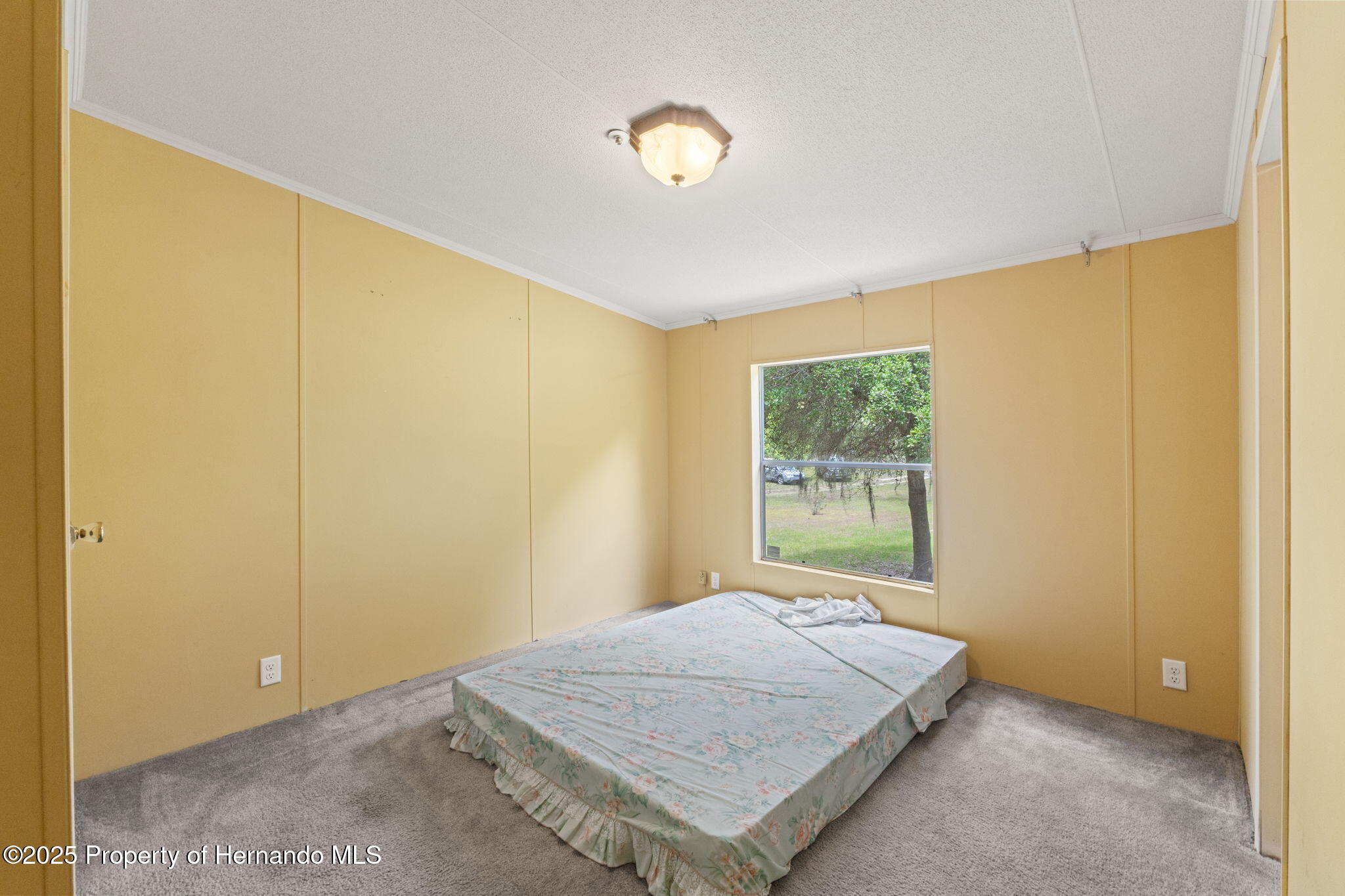 6530 SW 155th Street, Dunnellon, Florida image 42