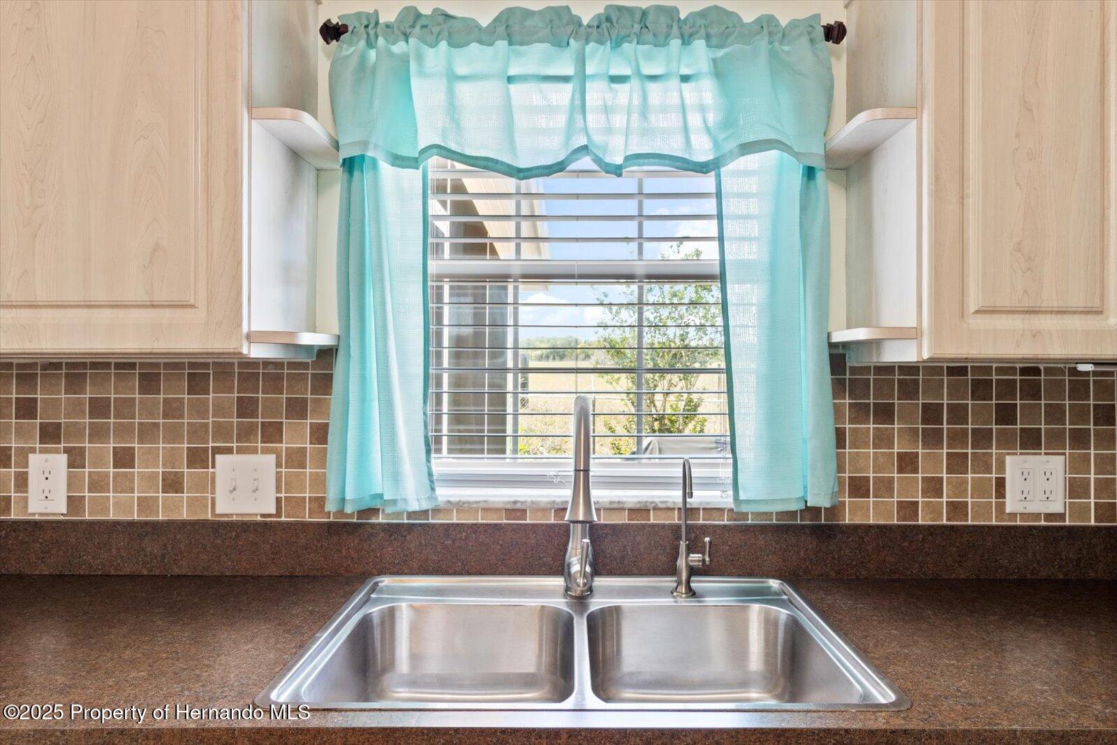 10485 S Drew Bryant Circle, Floral City, Florida image 17