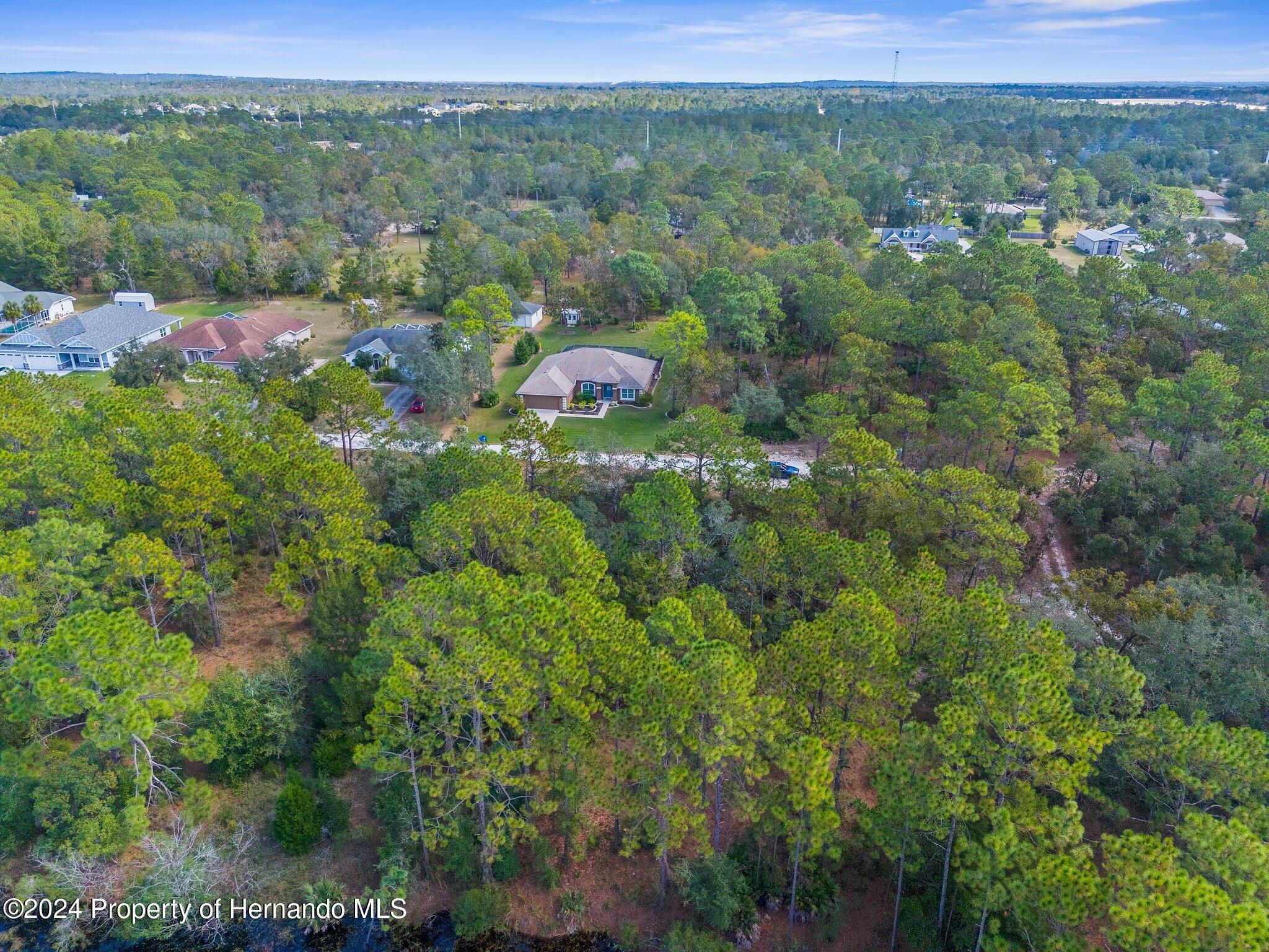 Lot #8 Bunting Road, Weeki Wachee, Florida image 7