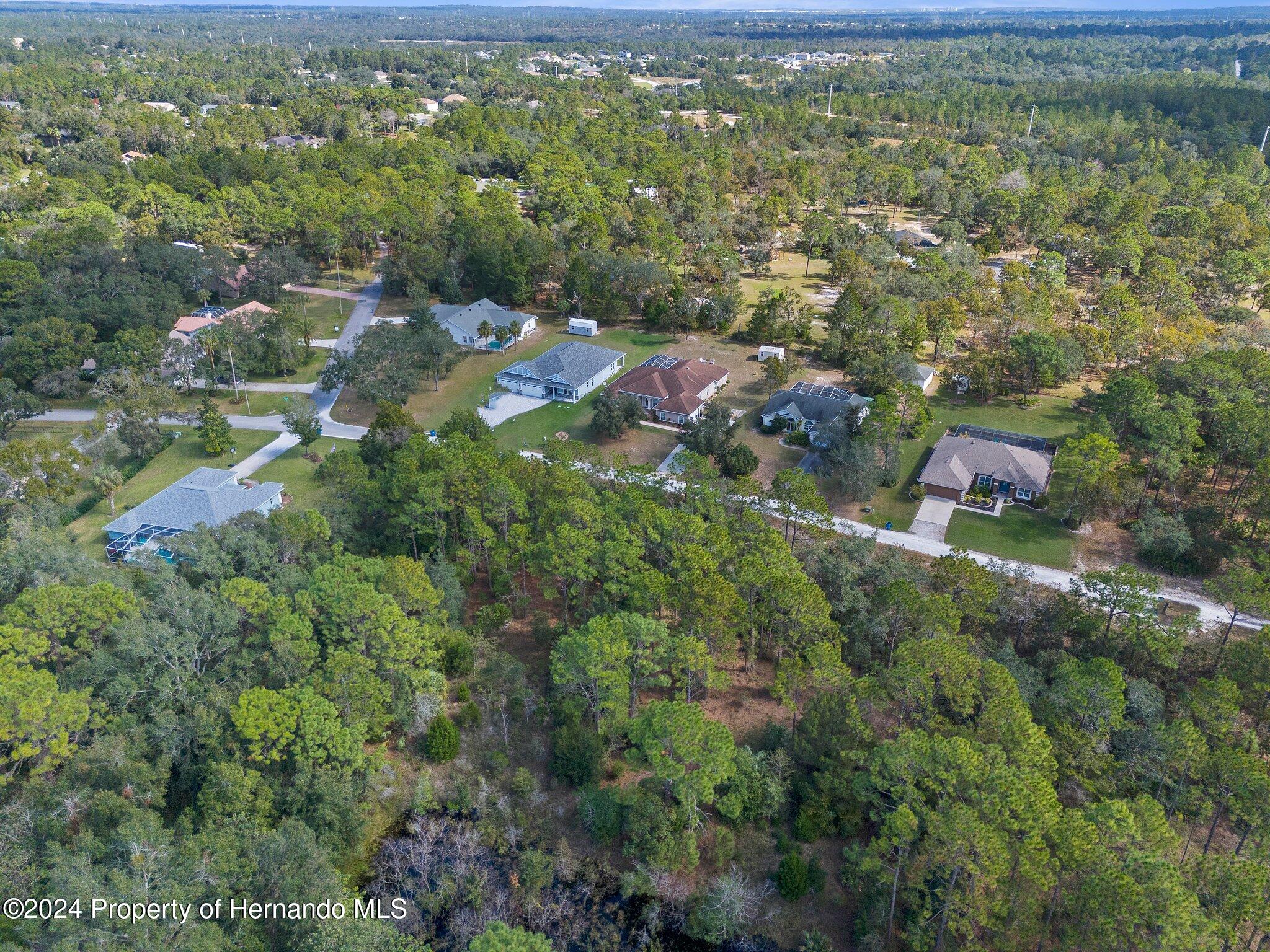 Lot #8 Bunting Road, Weeki Wachee, Florida image 17