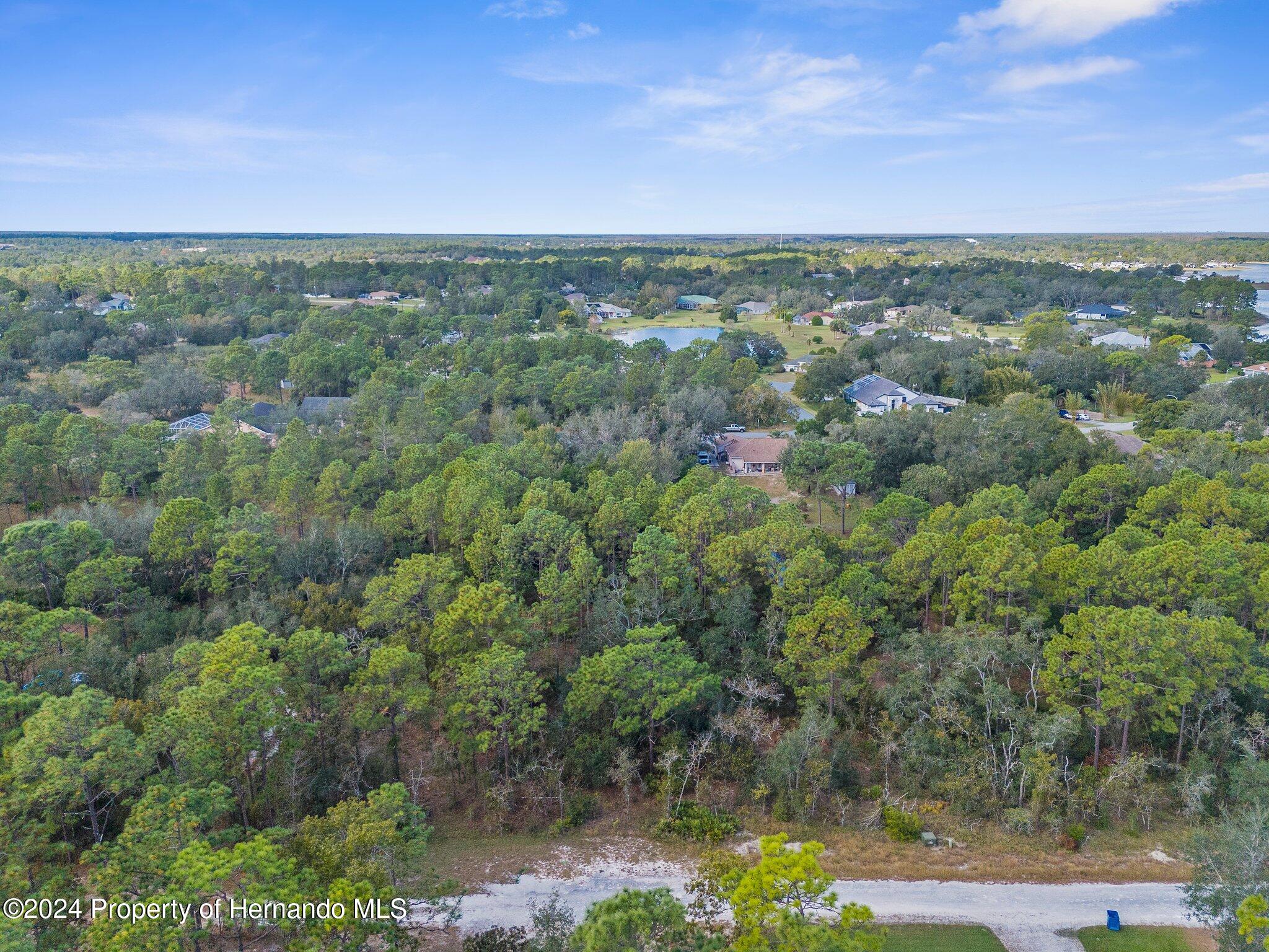 Lot #8 Bunting Road, Weeki Wachee, Florida image 3