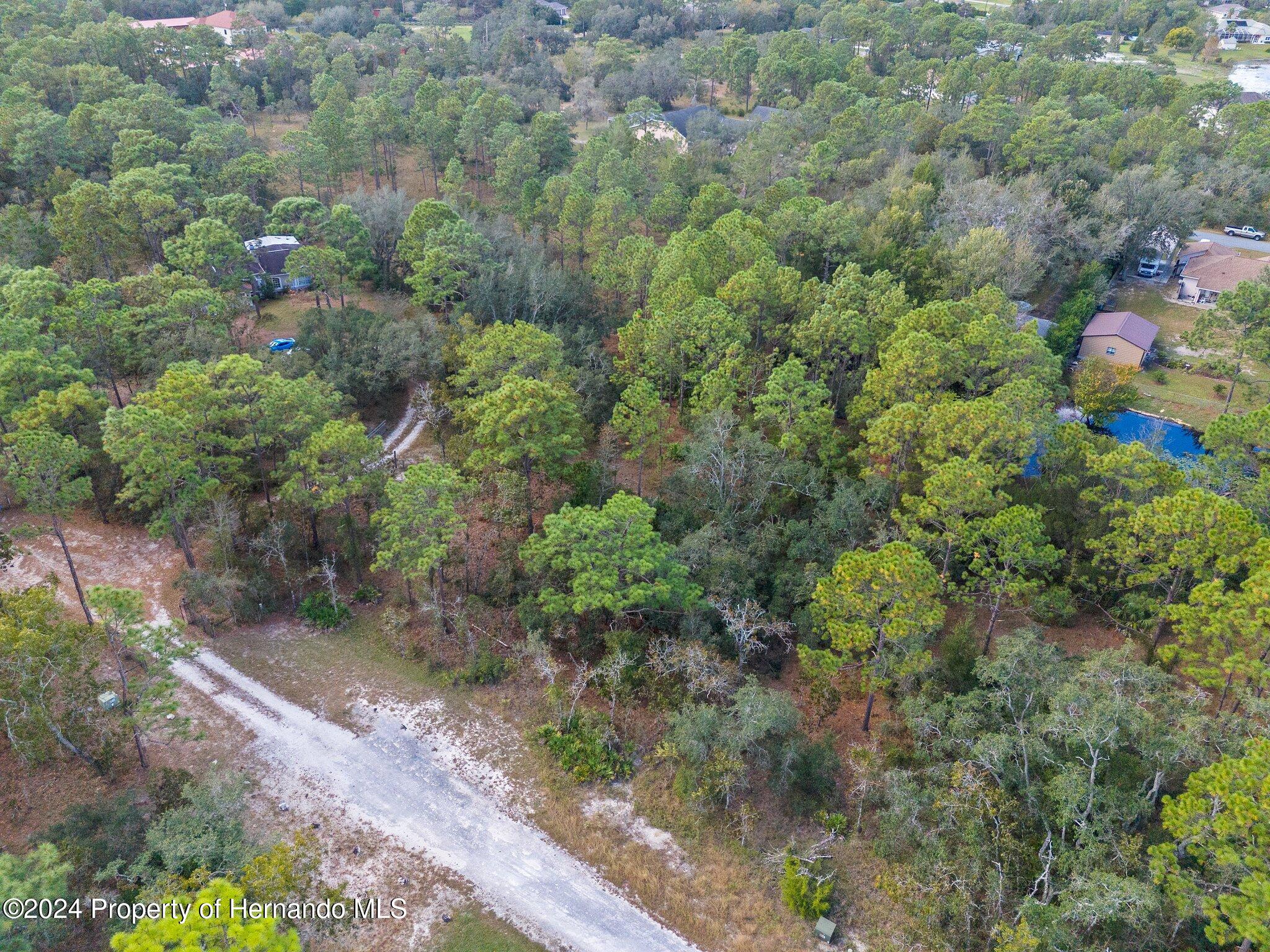 Lot #8 Bunting Road, Weeki Wachee, Florida image 4