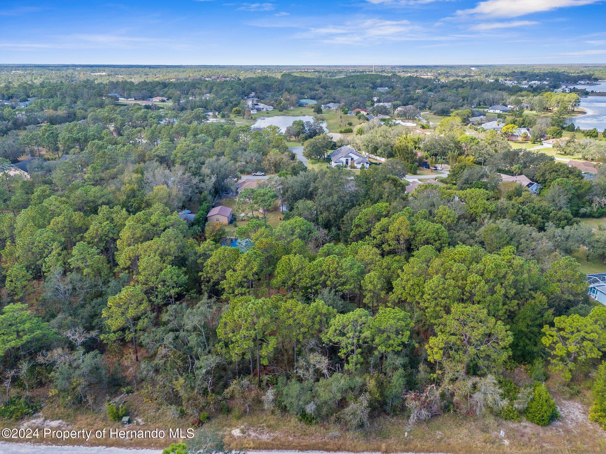 Lot #8 Bunting Road, Weeki Wachee, Florida image 12