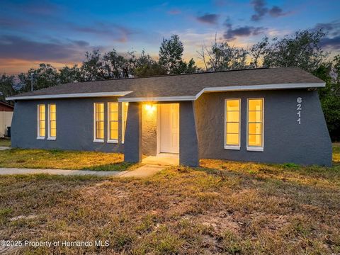 Homes For Sale - 6211 Lorraine Lane<br/> Spring Hill, FL 34608