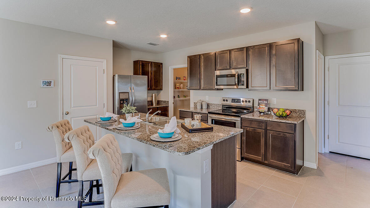 30982 Wild Juniper Court, Brooksville, Florida image 4