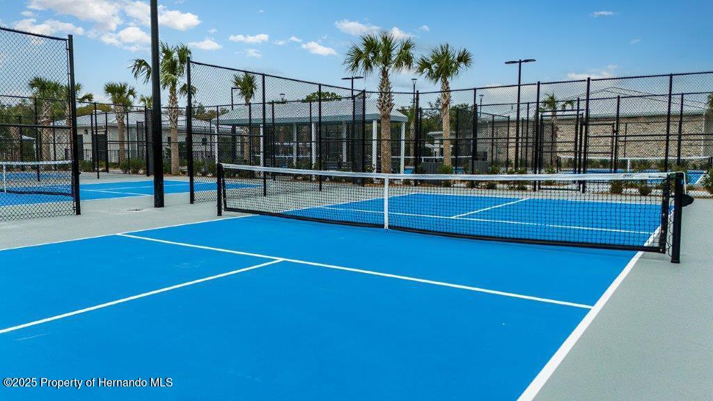 9675 Minnow Ray Drive, LAND O LAKES, Florida image 40