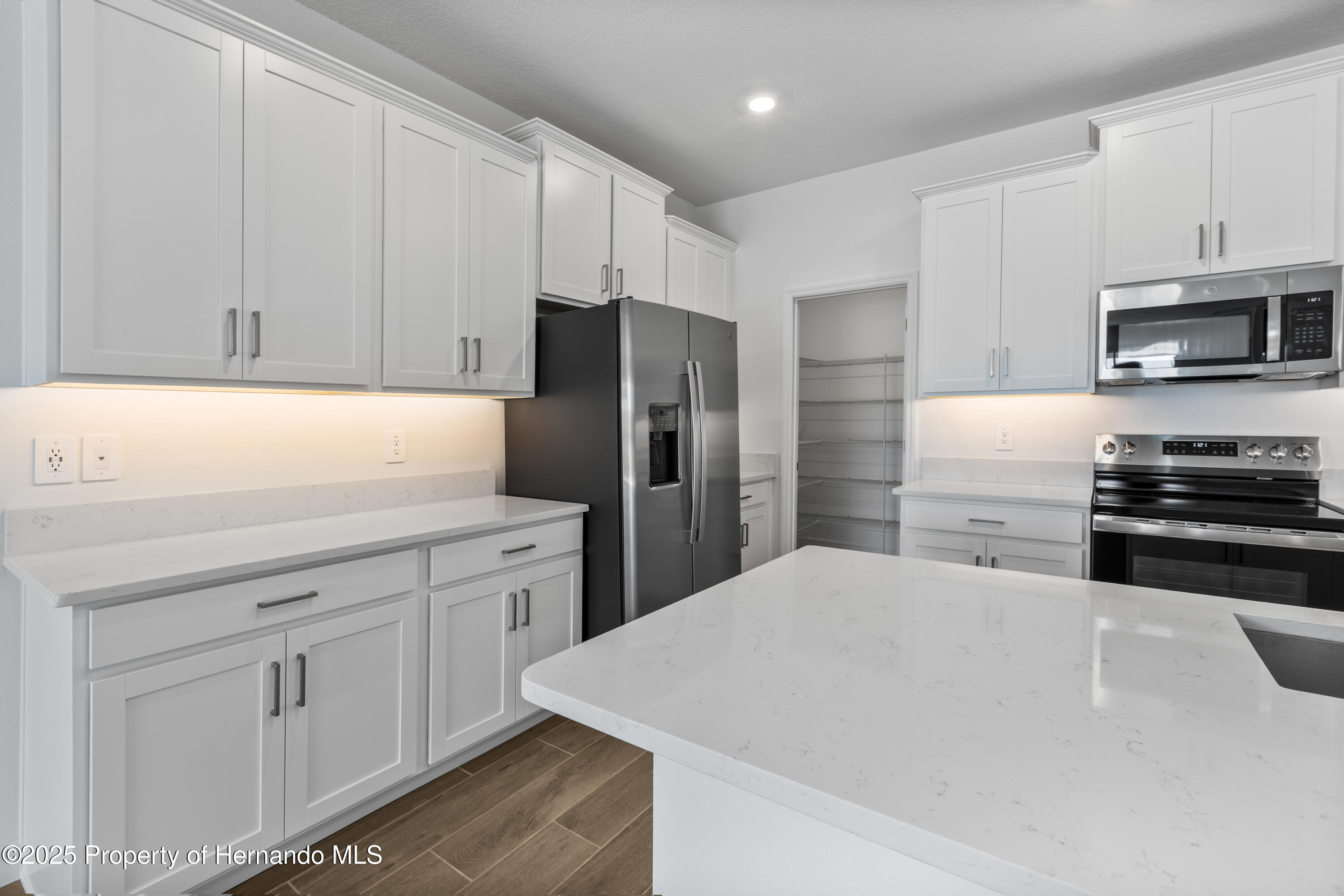 9675 Minnow Ray Drive, LAND O LAKES, Florida image 19