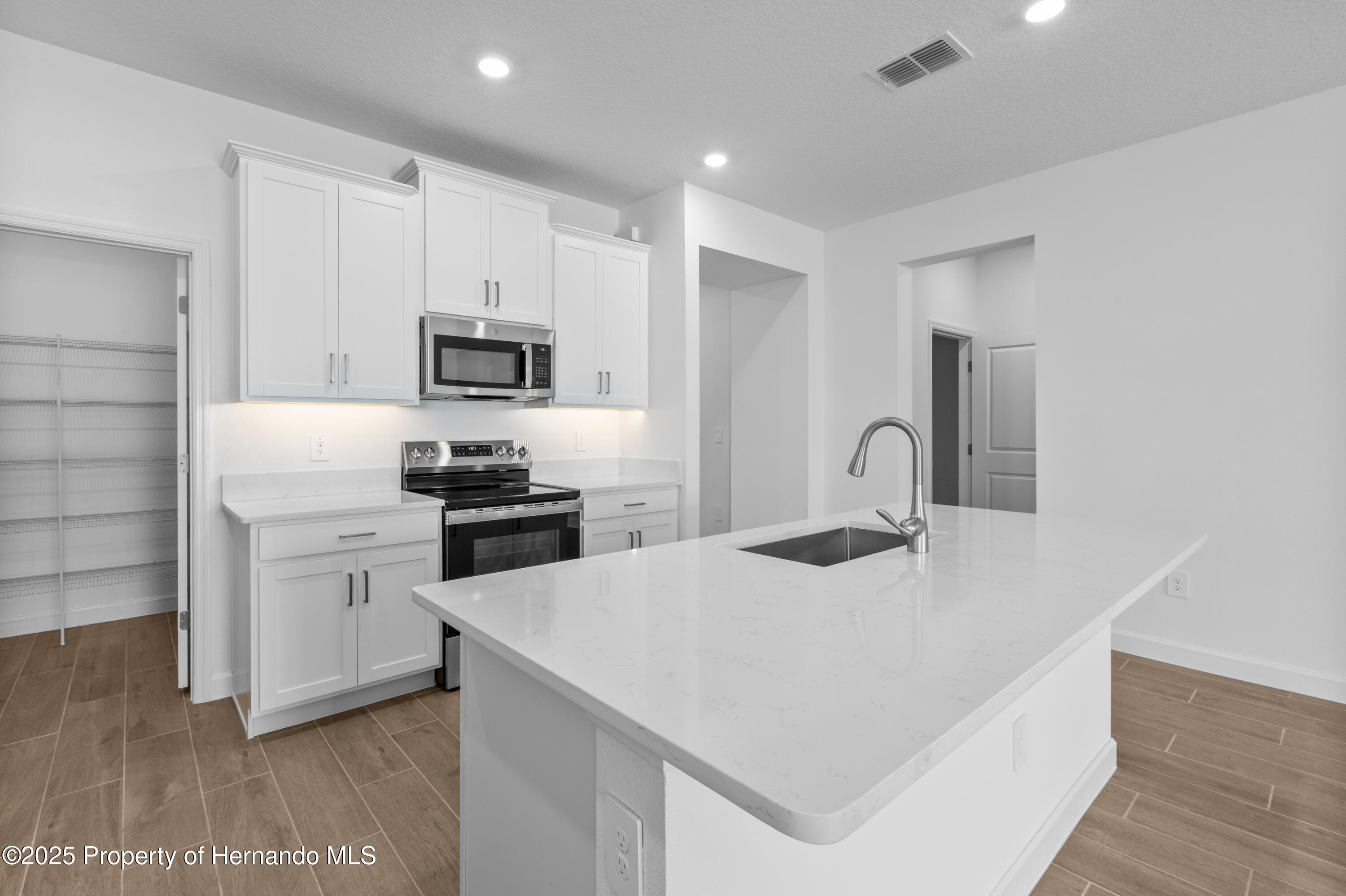 9675 Minnow Ray Drive, LAND O LAKES, Florida image 18