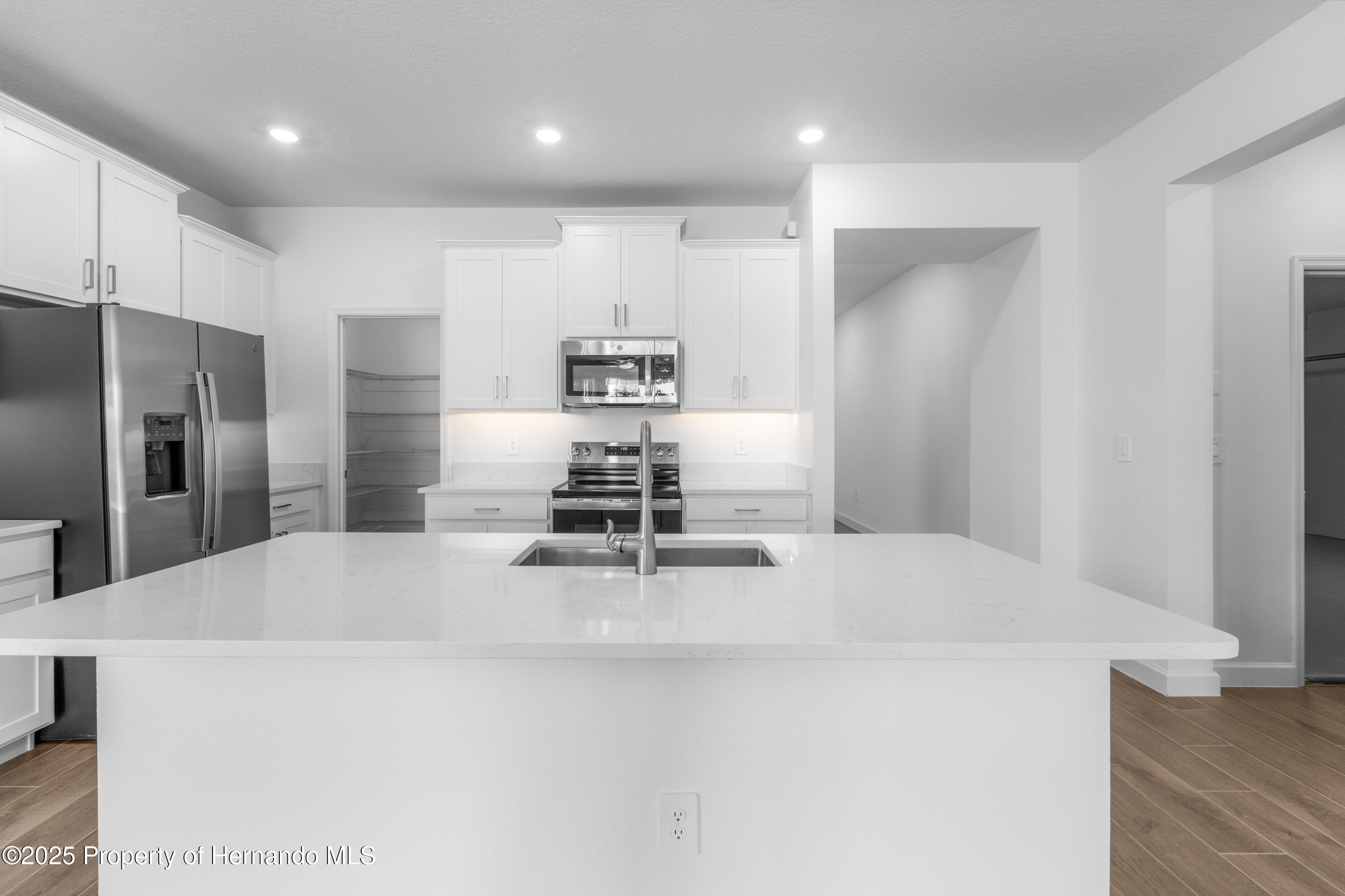 9675 Minnow Ray Drive, LAND O LAKES, Florida image 17